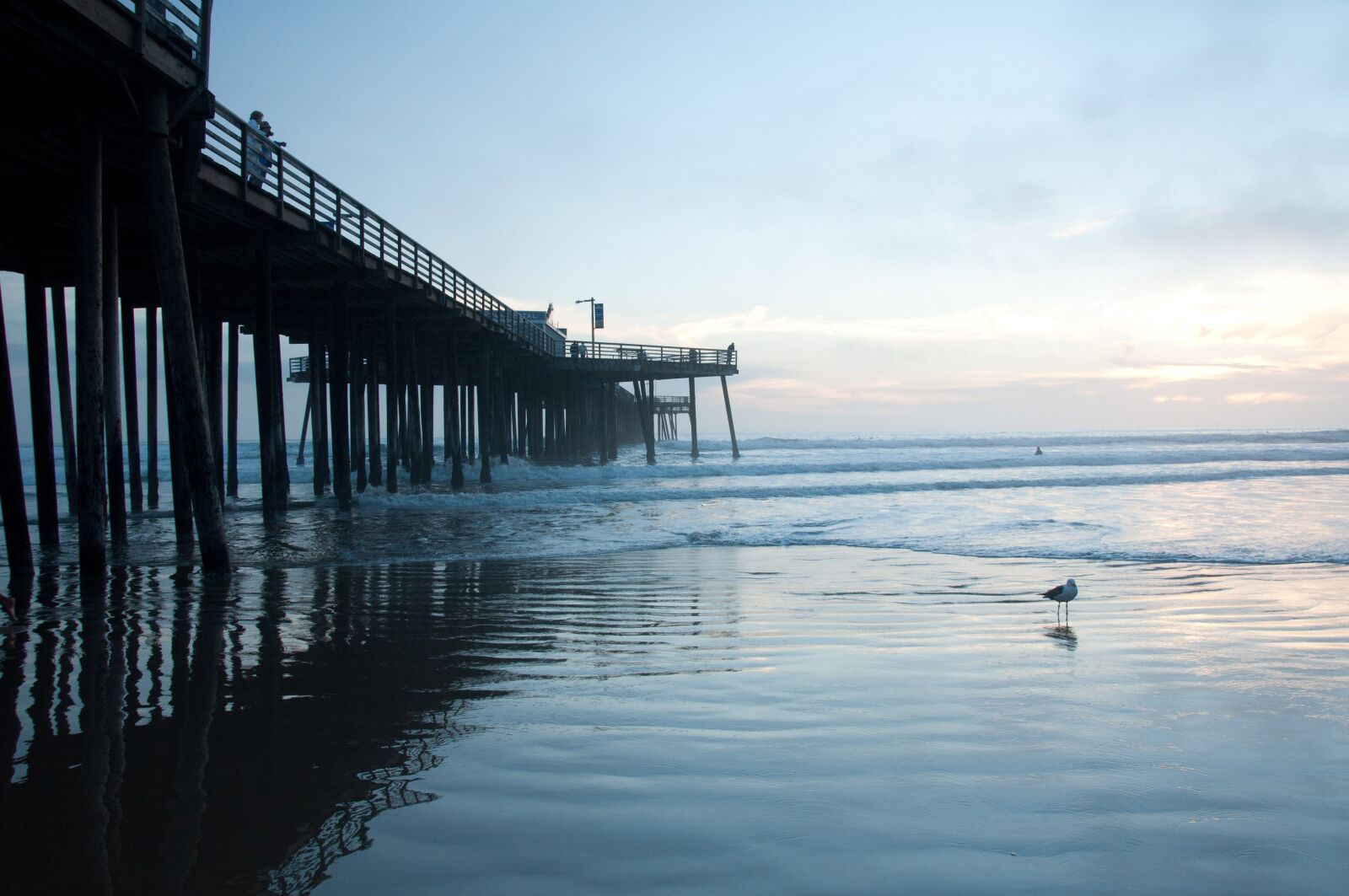 Nikon D90 sample photo. Beach, sunset, pismo photography