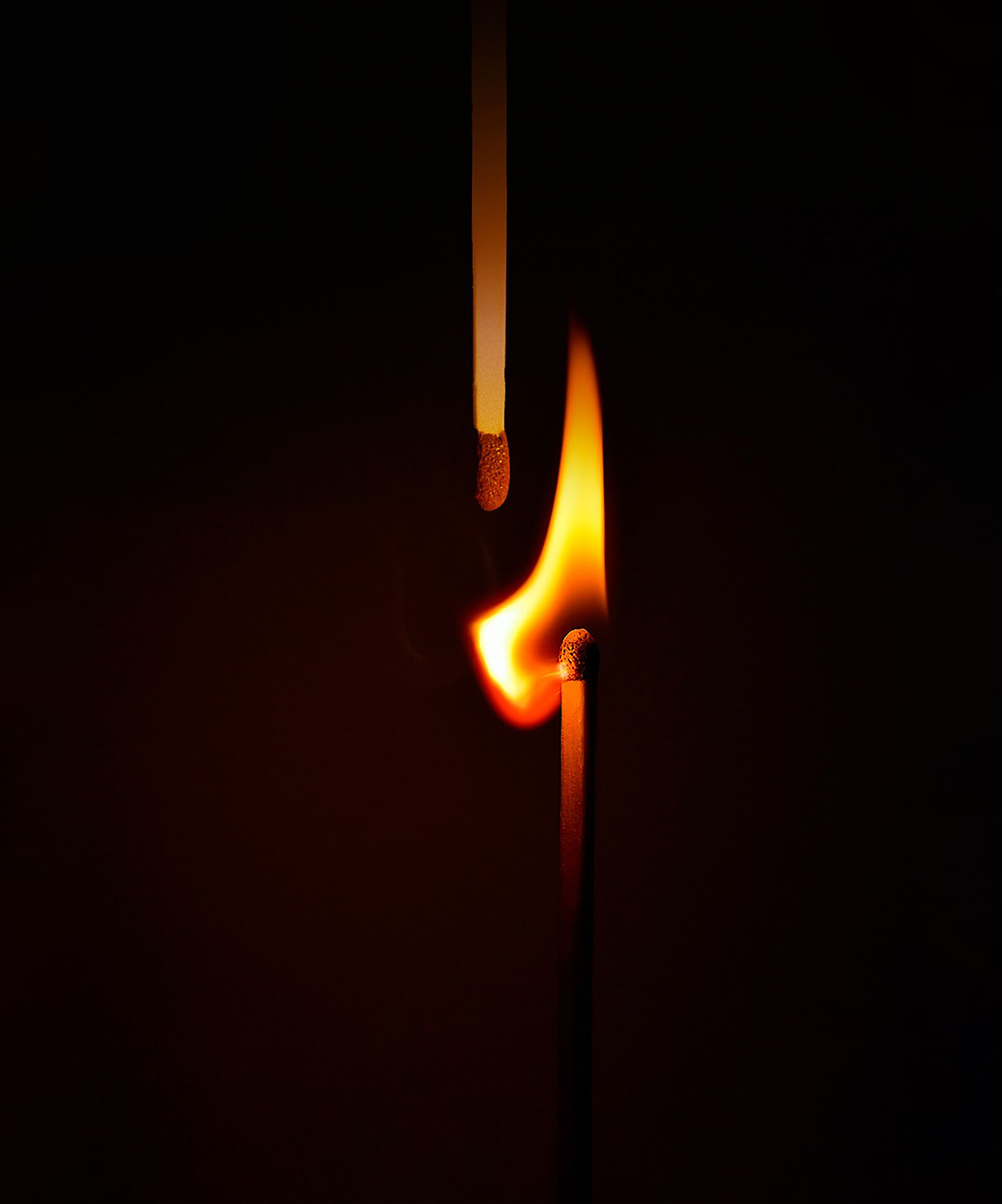 Nikon Coolpix P610 sample photo. Covid-19, fire, coronavirus photography