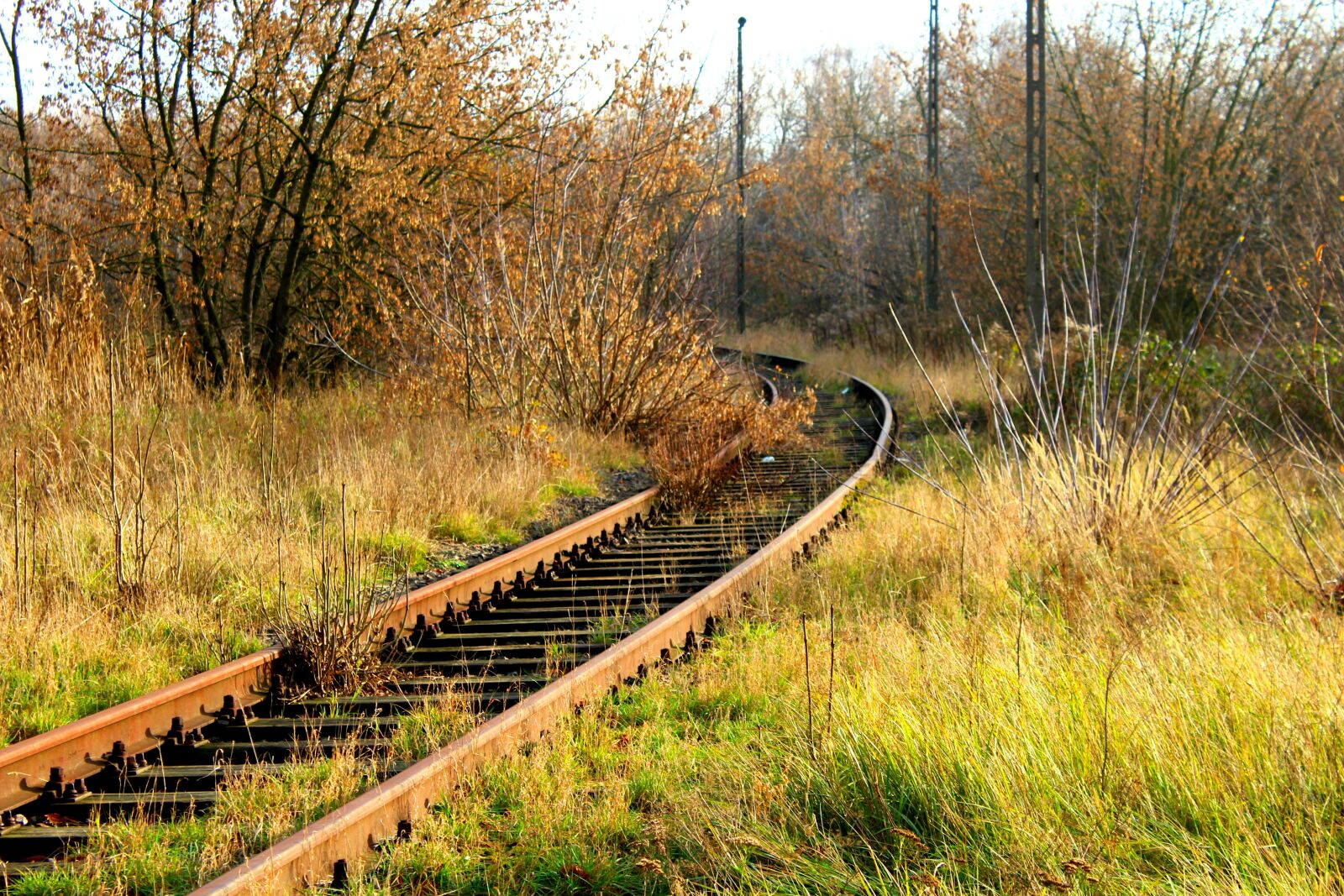 Canon EOS 1200D (EOS Rebel T5 / EOS Kiss X70 / EOS Hi) sample photo. Railway, rails, route photography