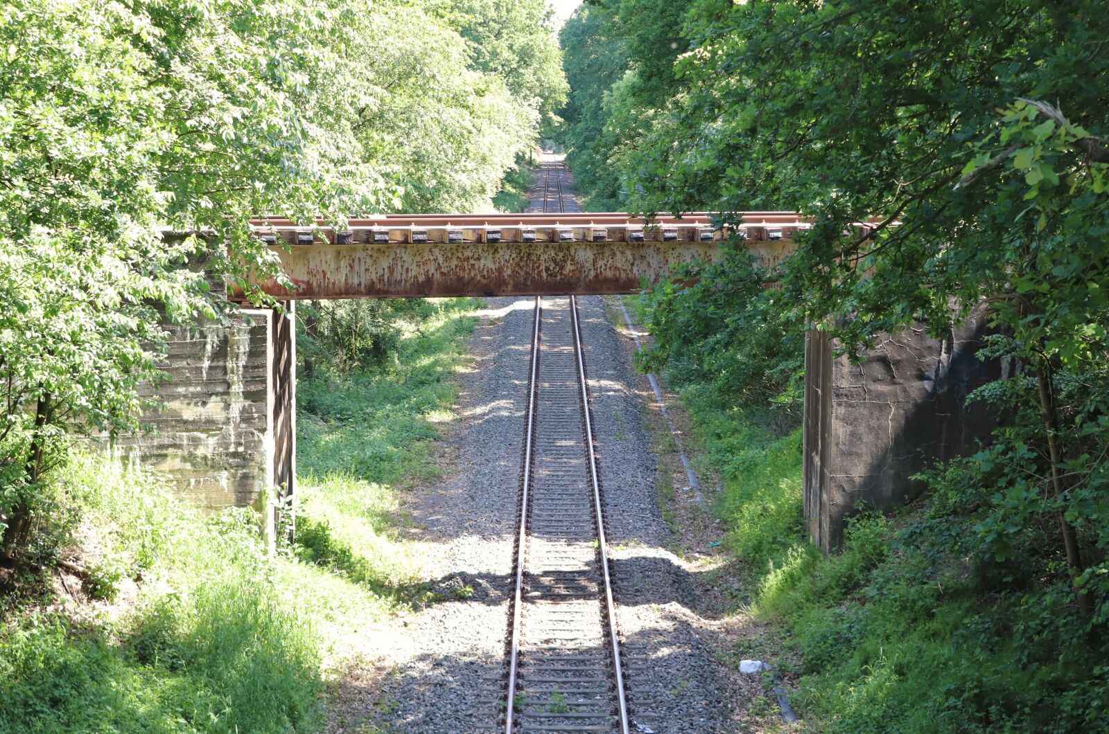 Canon EF-S 18-55mm F3.5-5.6 III sample photo. Railway, railway bridge, sun photography