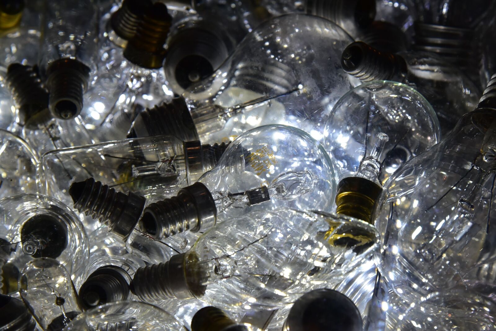 Nikon D750 sample photo. Light bulbs, light, lit photography
