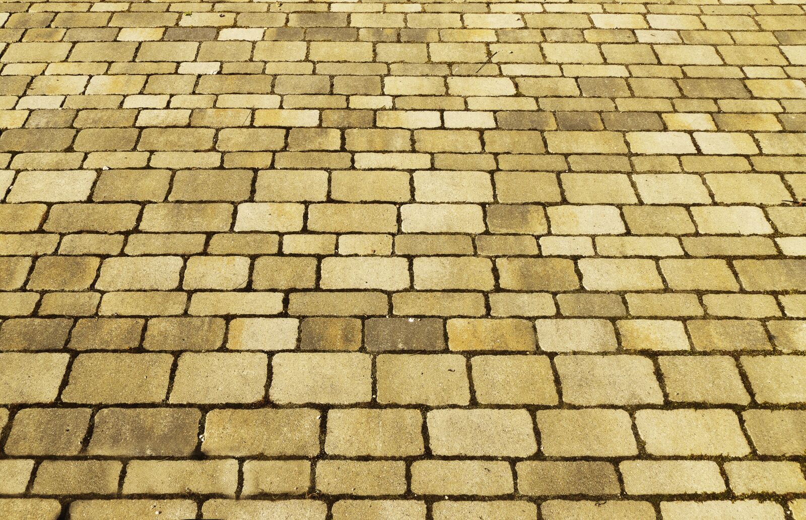 Panasonic Lumix DMC-FZ1000 sample photo. Patch, flooring, paving stones photography