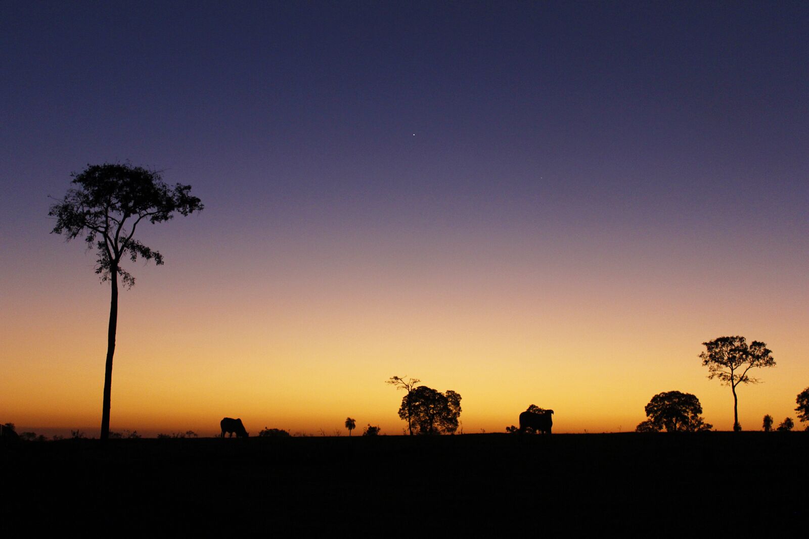 Canon EOS 600D (Rebel EOS T3i / EOS Kiss X5) sample photo. Eventide, horizon, twilight photography
