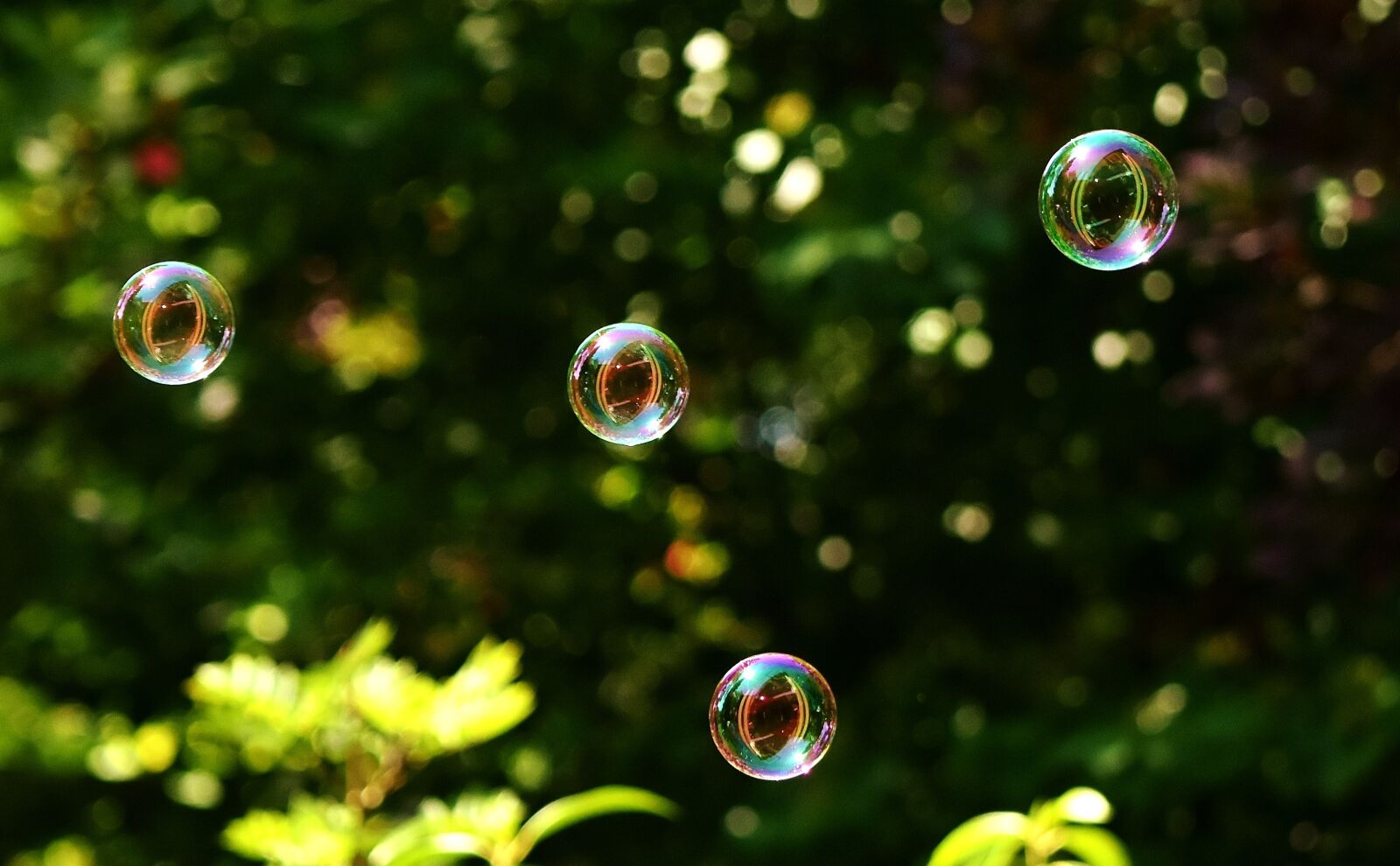 Nikon D7200 sample photo. Soap bubbles, puste fix photography