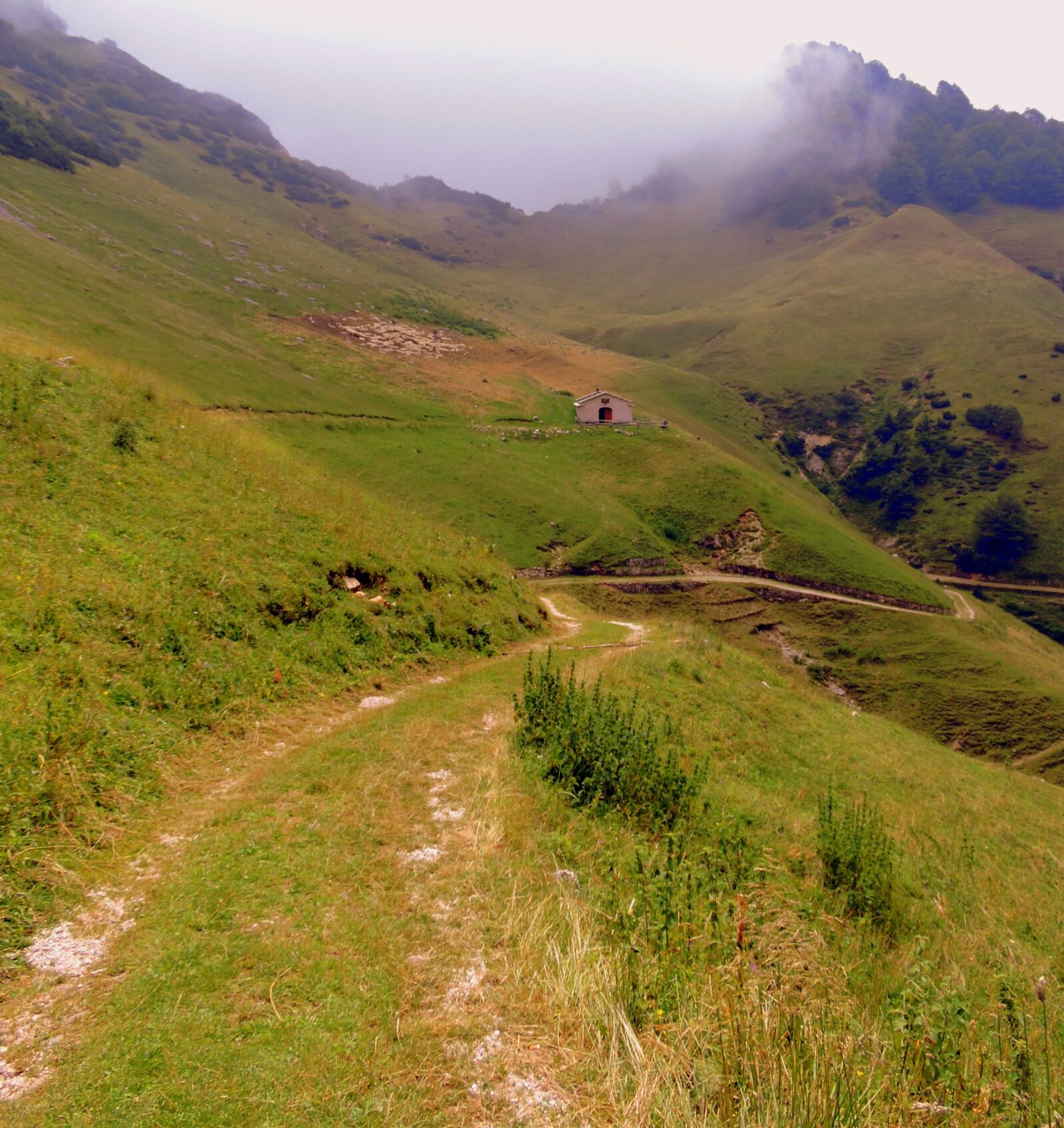 Nikon Coolpix P600 sample photo. Trail, hiking, mountain photography