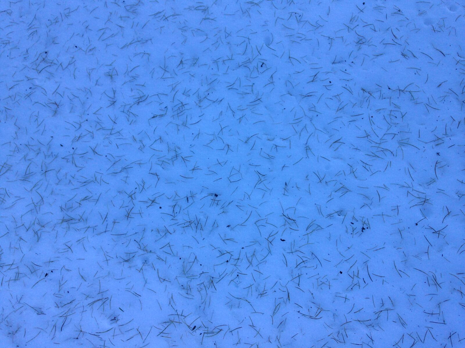iPhone 5c back camera 4.12mm f/2.4 sample photo. Fresh, mountain, snow photography