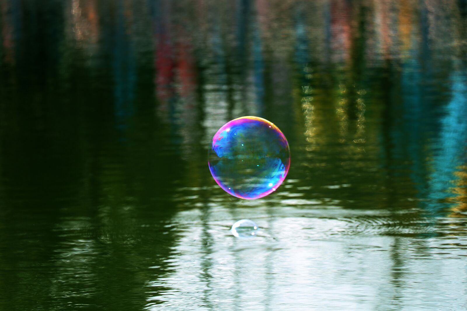 Canon EOS 77D (EOS 9000D / EOS 770D) sample photo. Reflection, waters, nature photography