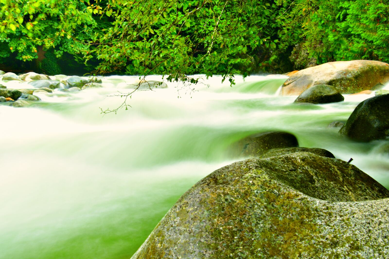 Nikon D7500 sample photo. Downstream, river rocks, green photography