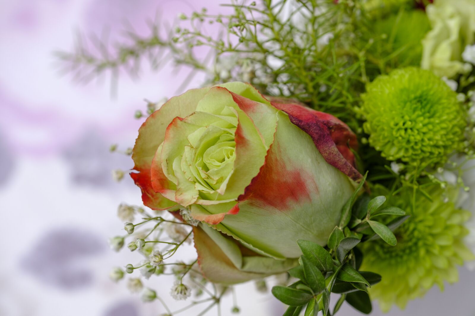 Fujifilm X-T2 + Fujifilm XF 80mm F2.8 R LM OIS WR Macro sample photo. Rose, bouquet of roses photography