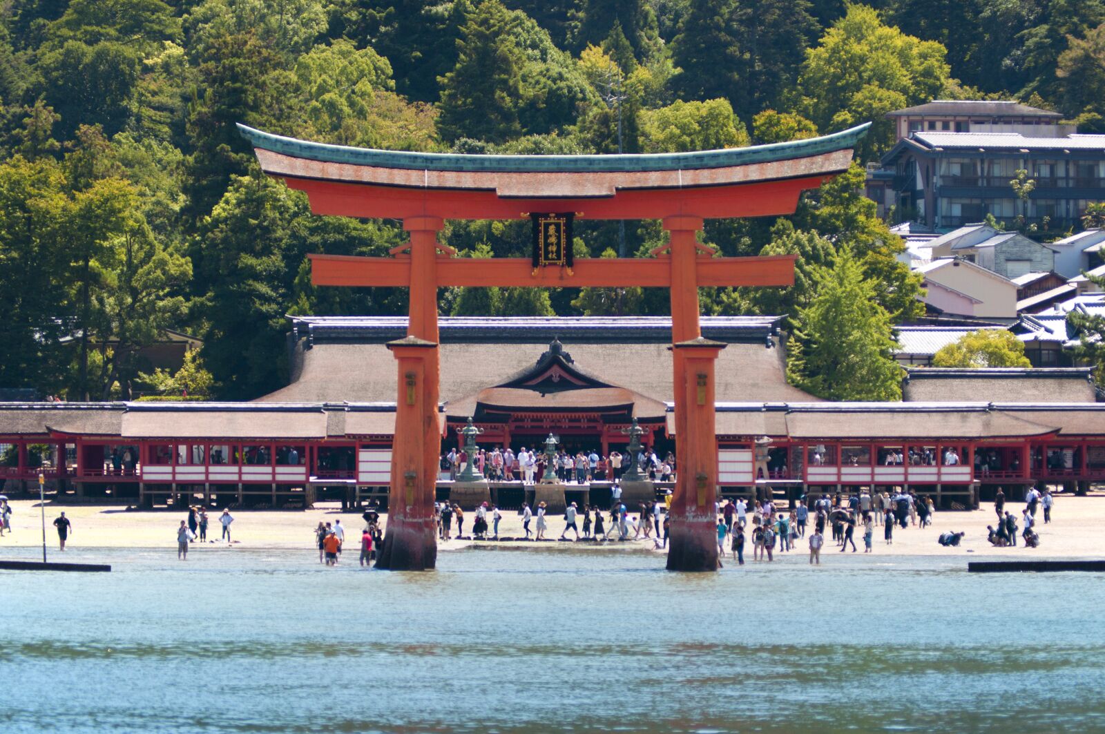 Nikon D90 sample photo. Travel, tourism, shinto photography