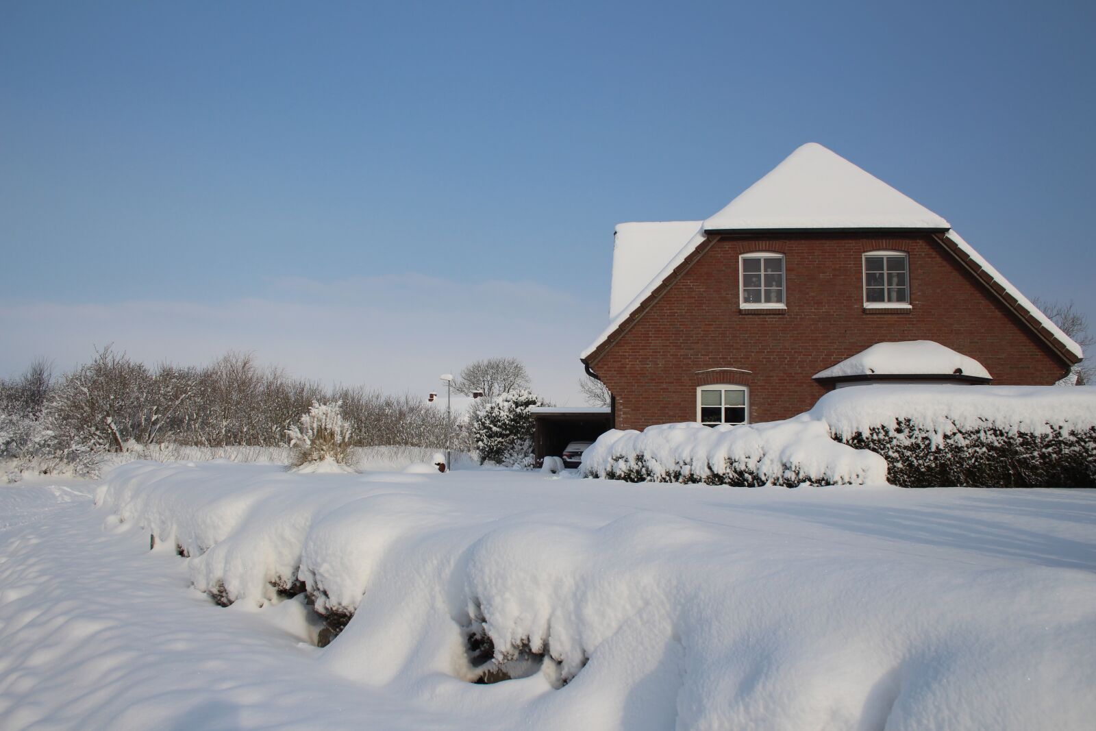 Canon EF-S 18-55mm F3.5-5.6 II sample photo. Winter, snow, cold photography