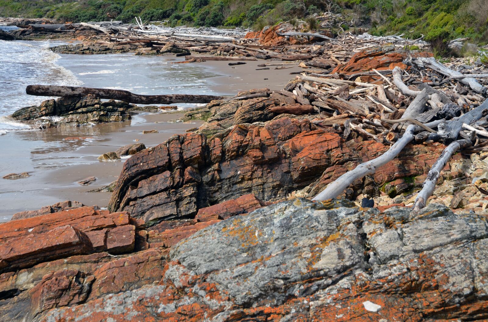 Nikon D7000 sample photo. Driftwood, tasmania, coast photography