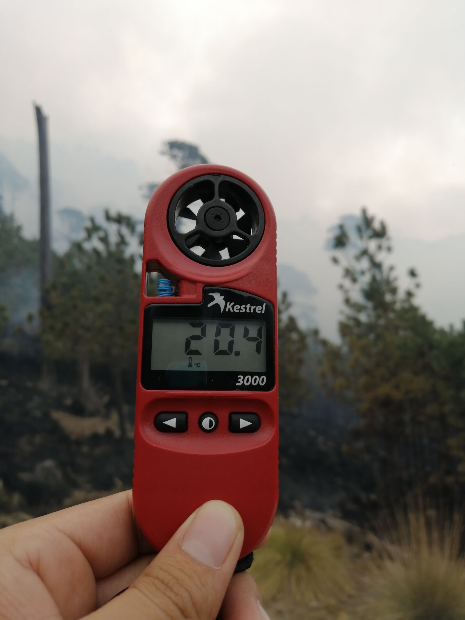 HUAWEI P30 LITE sample photo. Anemometer, kelner, temperature photography