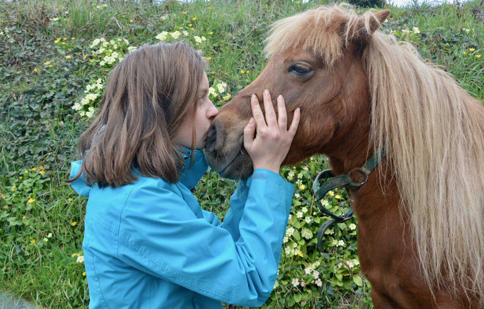 Nikon D5200 sample photo. Girl shetland pony, kisses photography