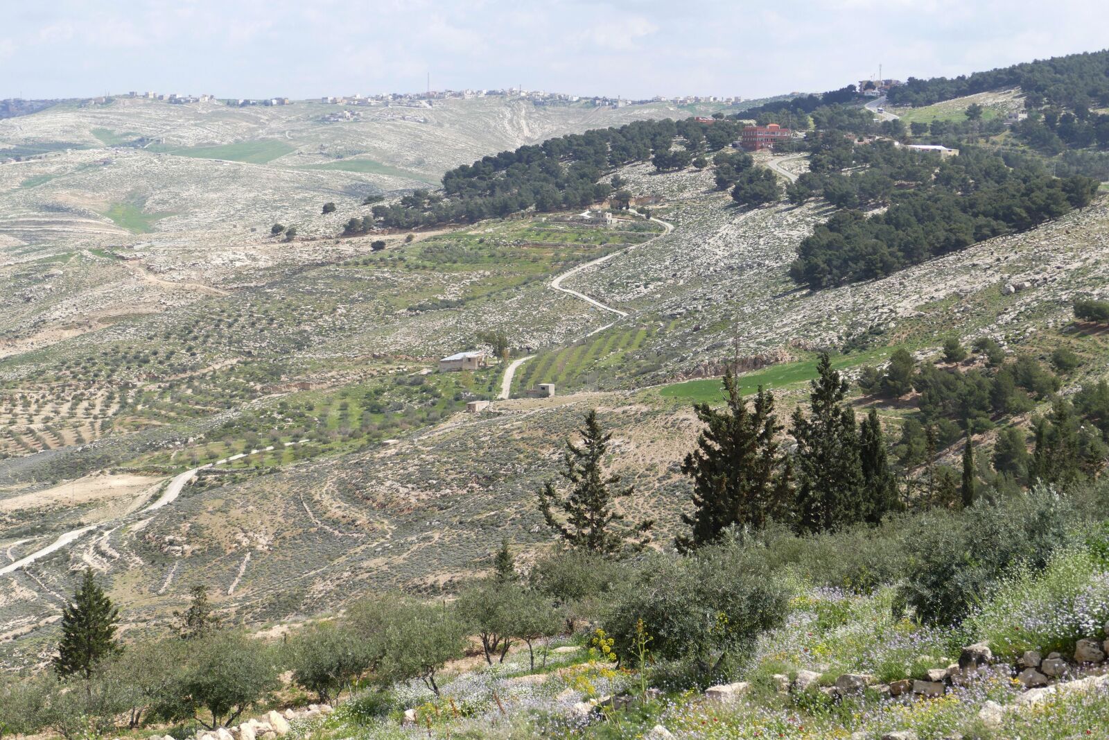 Panasonic Lumix DMC-FZ1000 sample photo. Jordan, nebo, mountain photography