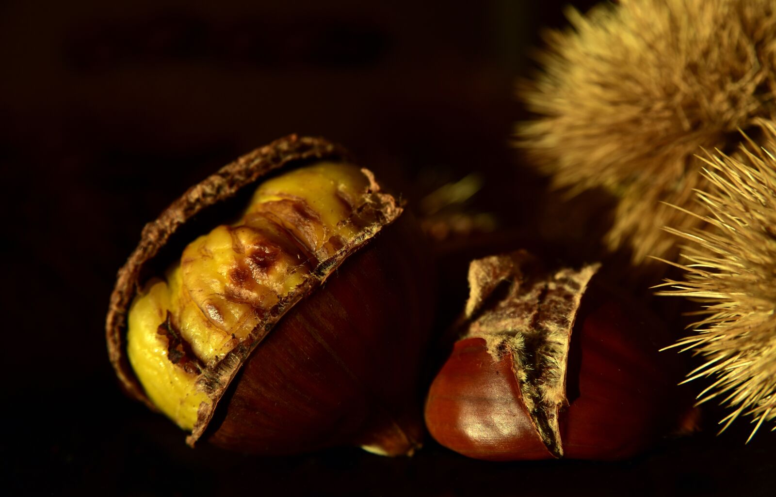Nikon D750 sample photo. Chestnut, nature, maroni photography
