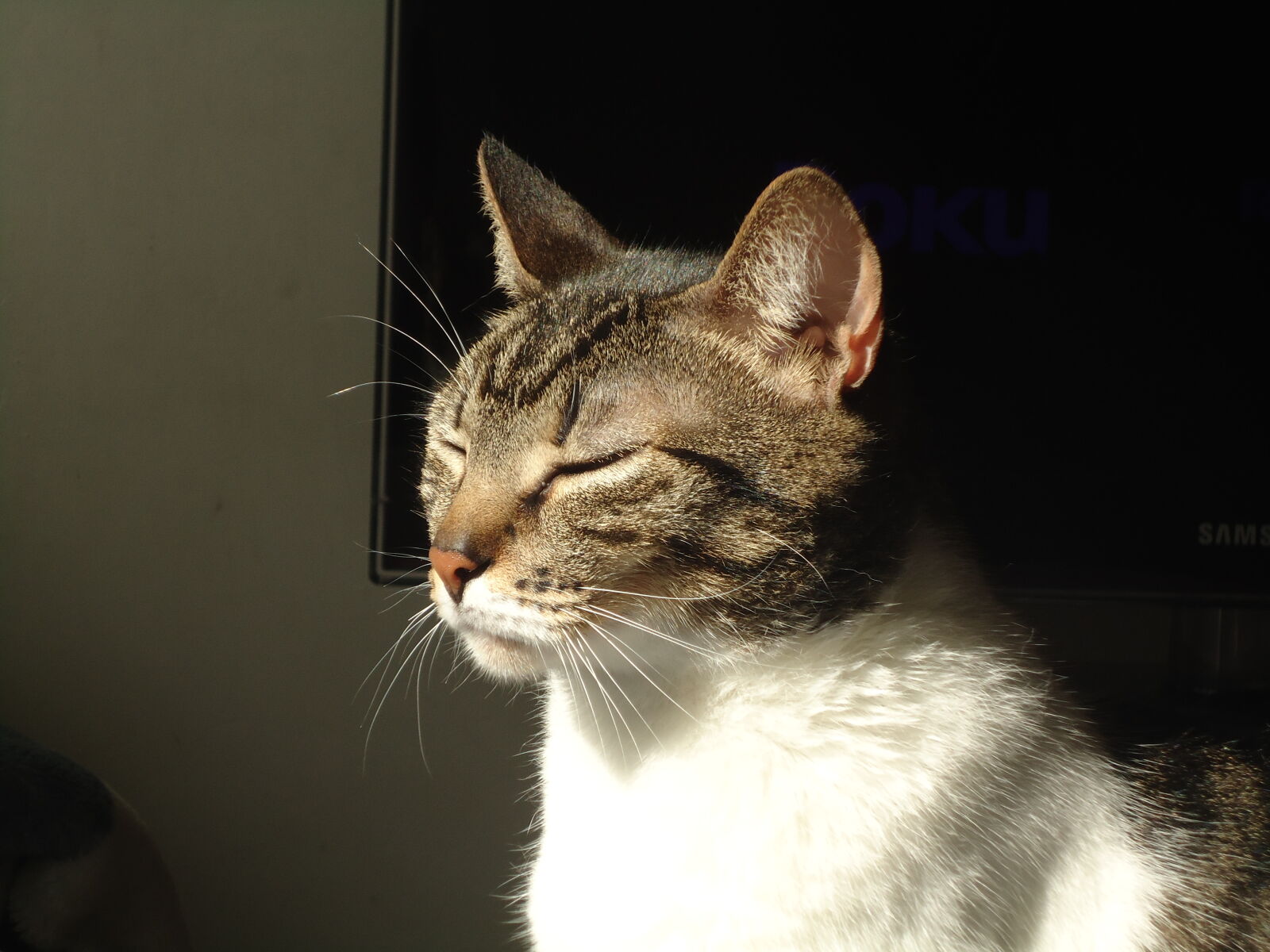 Sony Cyber-shot DSC-W320 sample photo