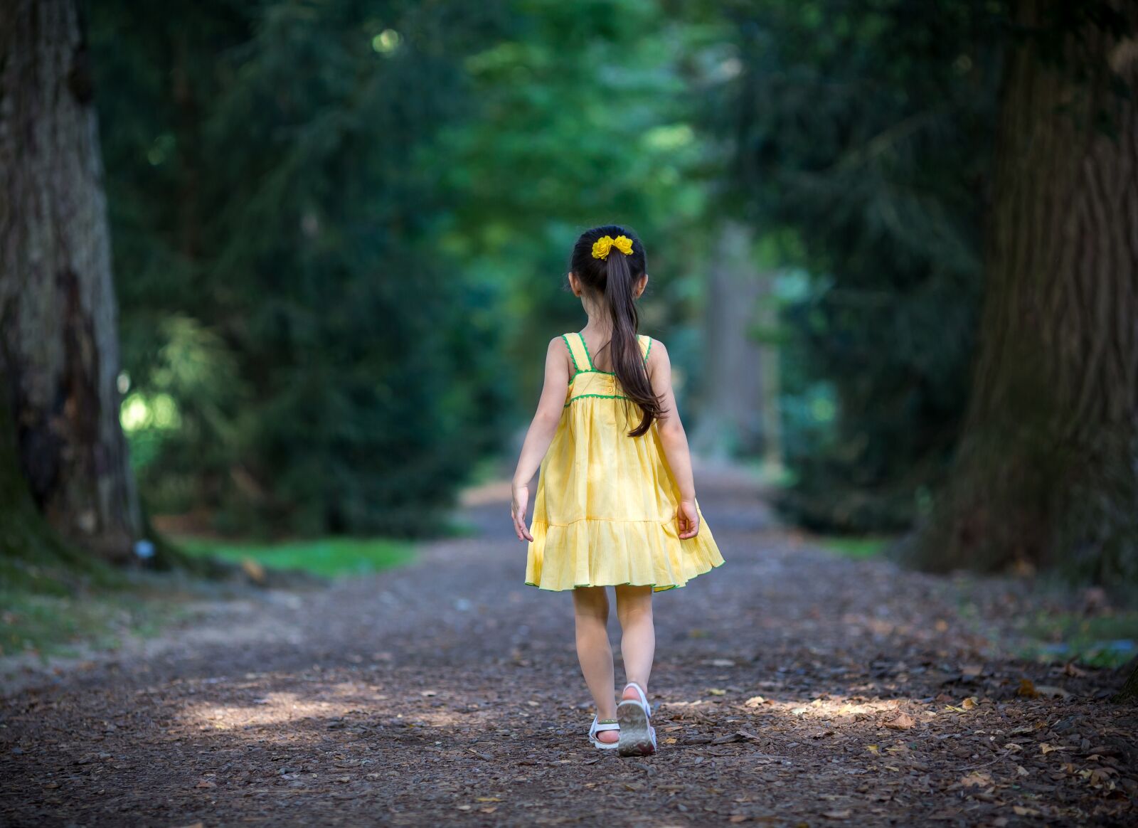 Canon EOS 5D Mark III + Canon EF 135mm F2L USM sample photo. Nature, girl, outdoors photography