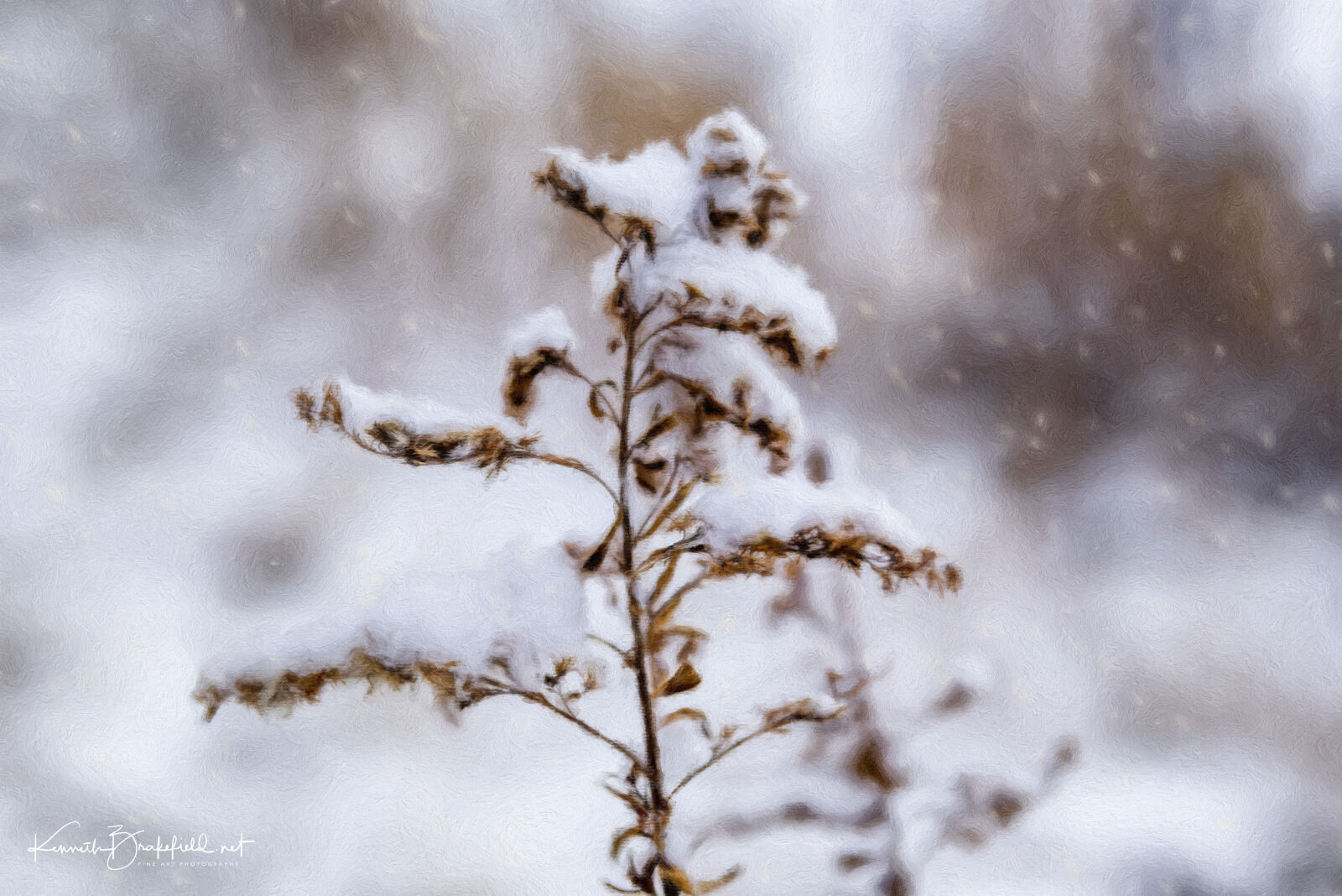 Nikon D810 sample photo. Snow, snow, capped photography