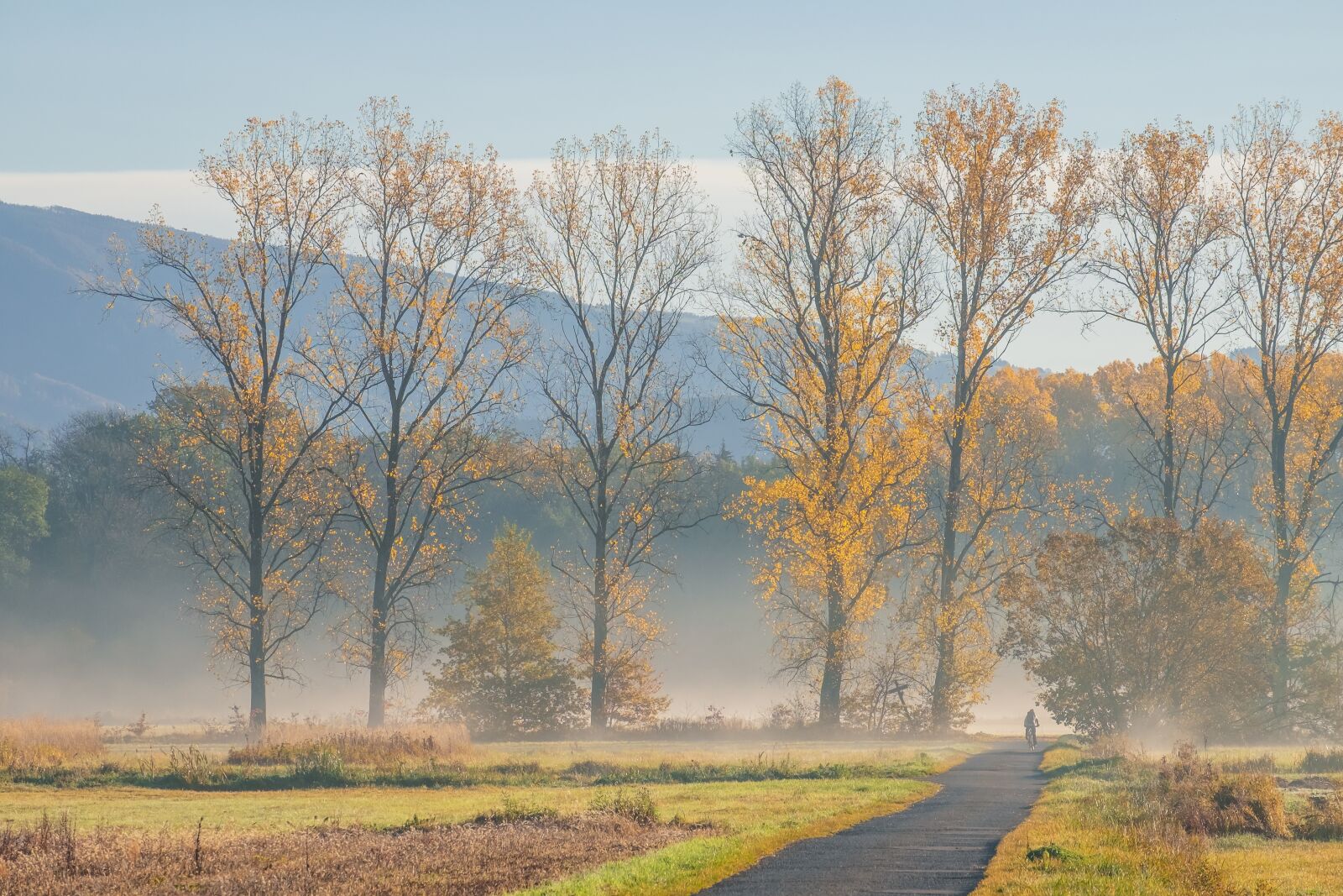 Fujifilm XF 55-200mm F3.5-4.8 R LM OIS sample photo. Fog, haze, morgenstimmung photography