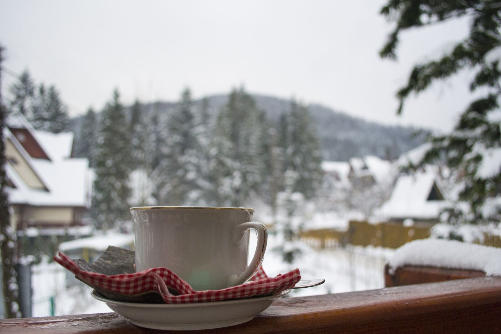 Nikon D3100 sample photo. Tea, teacup, winter photography
