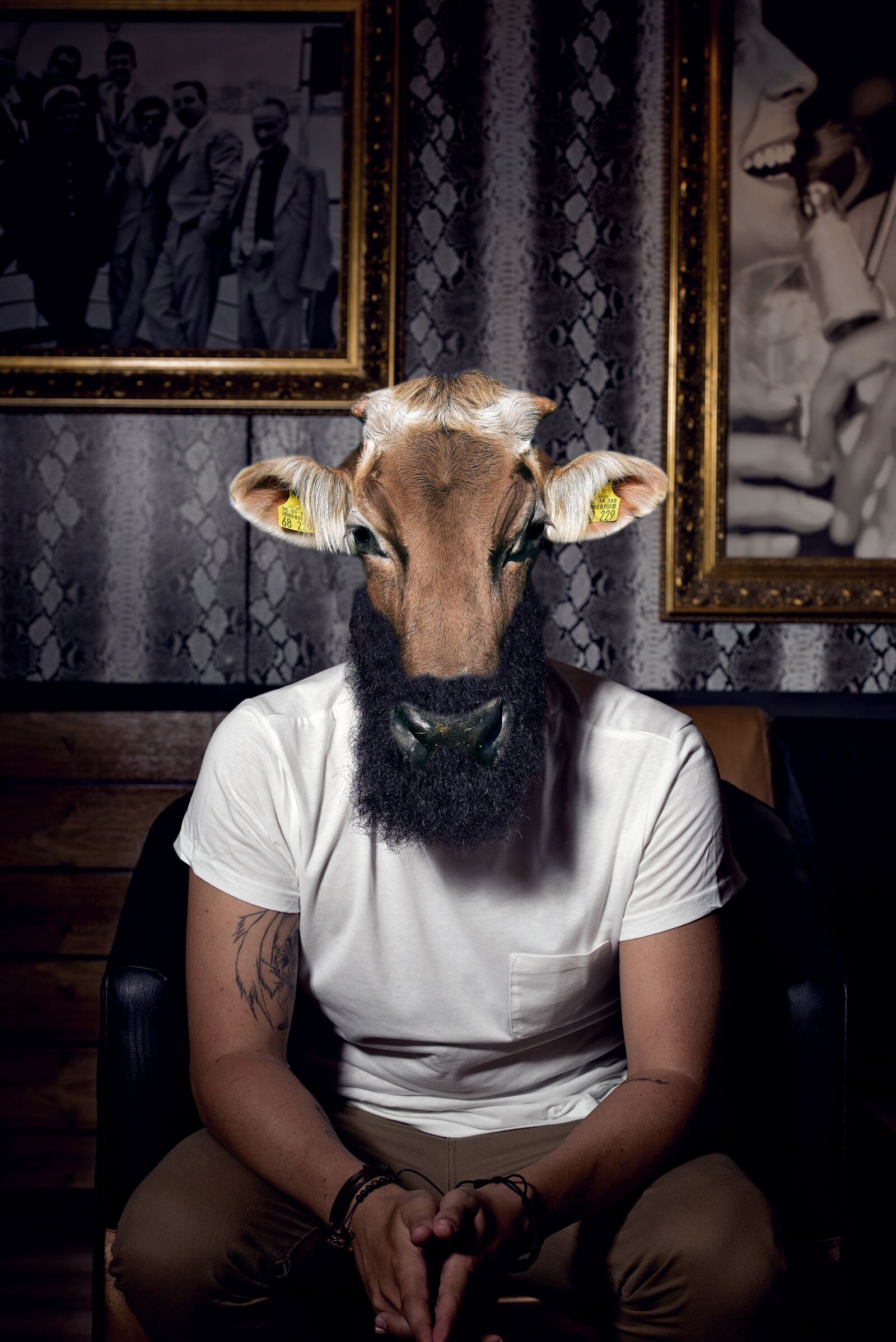 Nikon D610 sample photo. Hipster, cow, beard photography