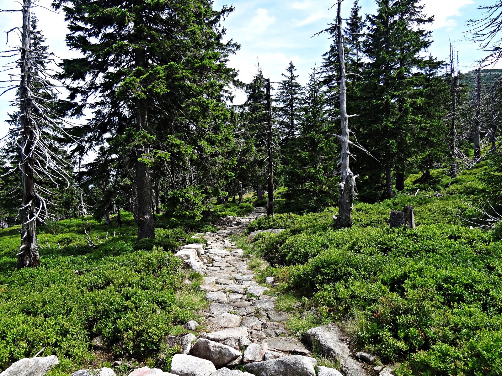 Sony DSC-HX50 sample photo. Landscape, mountains, nature photography