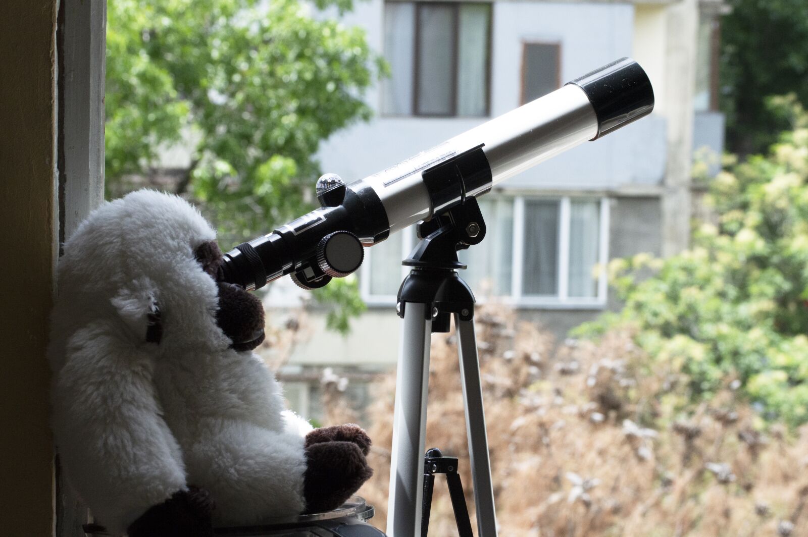 Nikon D3200 sample photo. Monkey, telescope, nature photography