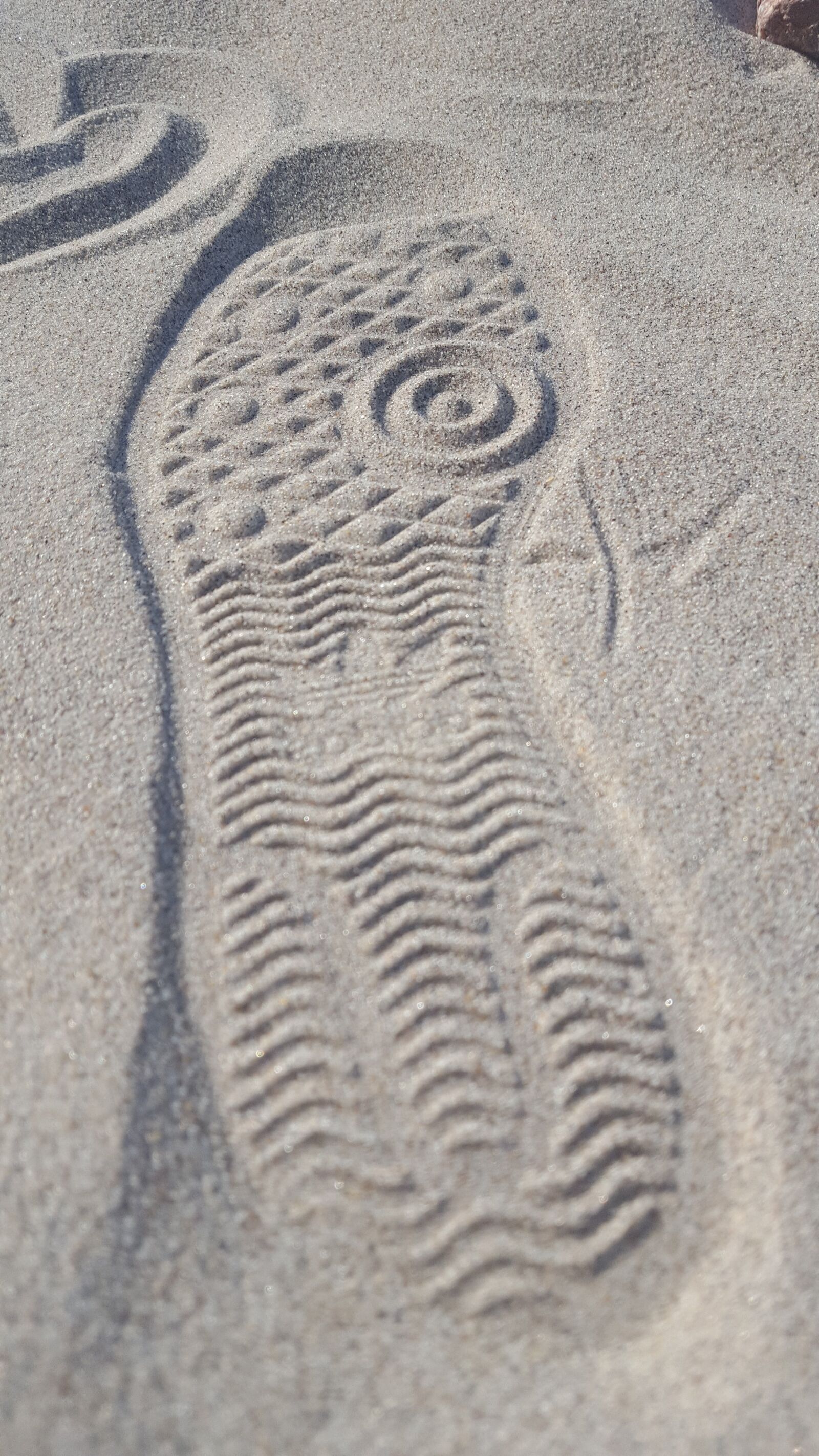 Samsung Galaxy S6 sample photo. Imprint, already, sand photography