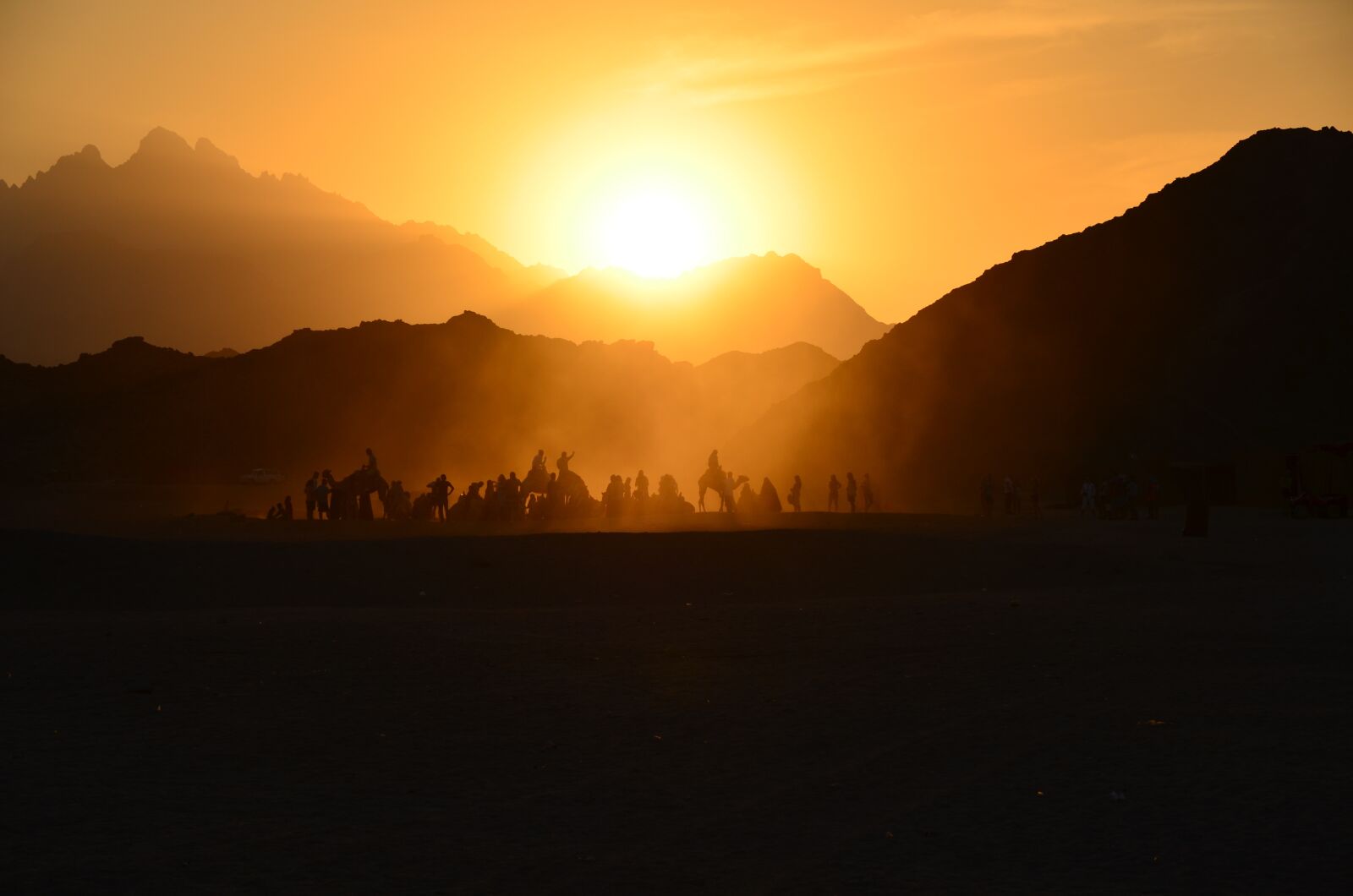 Nikon D7000 sample photo. Egypt, desert, sunset photography