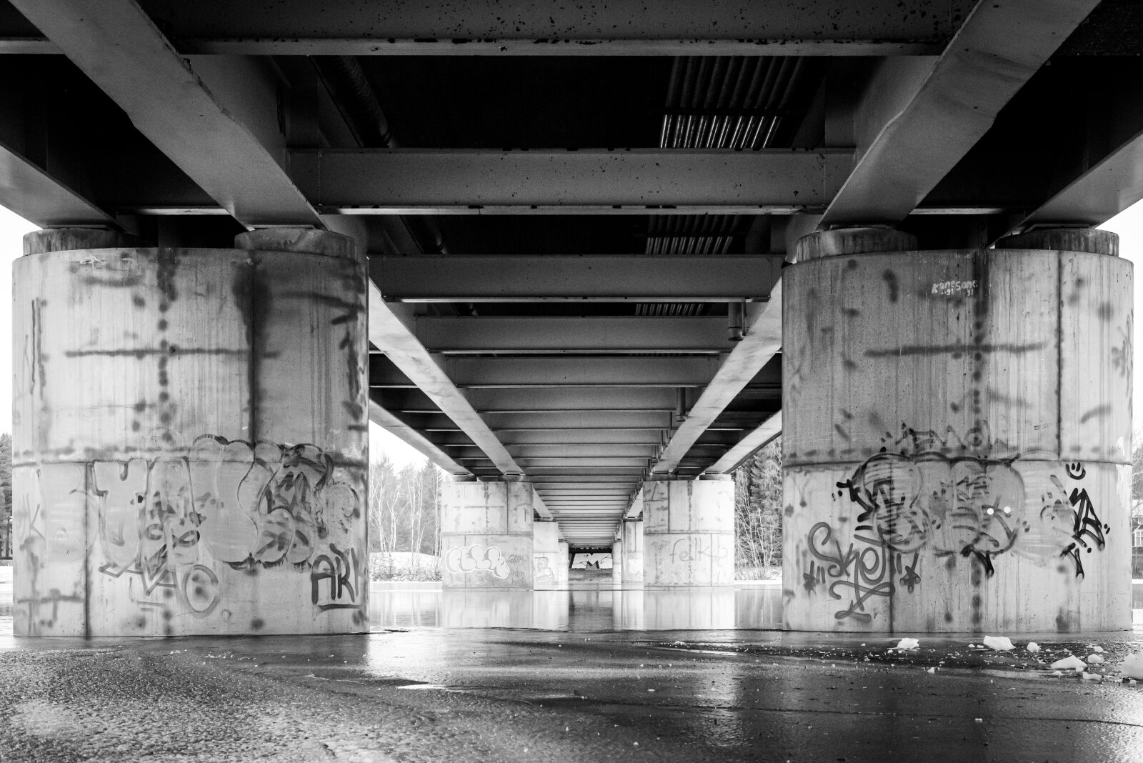 Nikon D750 sample photo. Bridge, erkkola, bnw photography