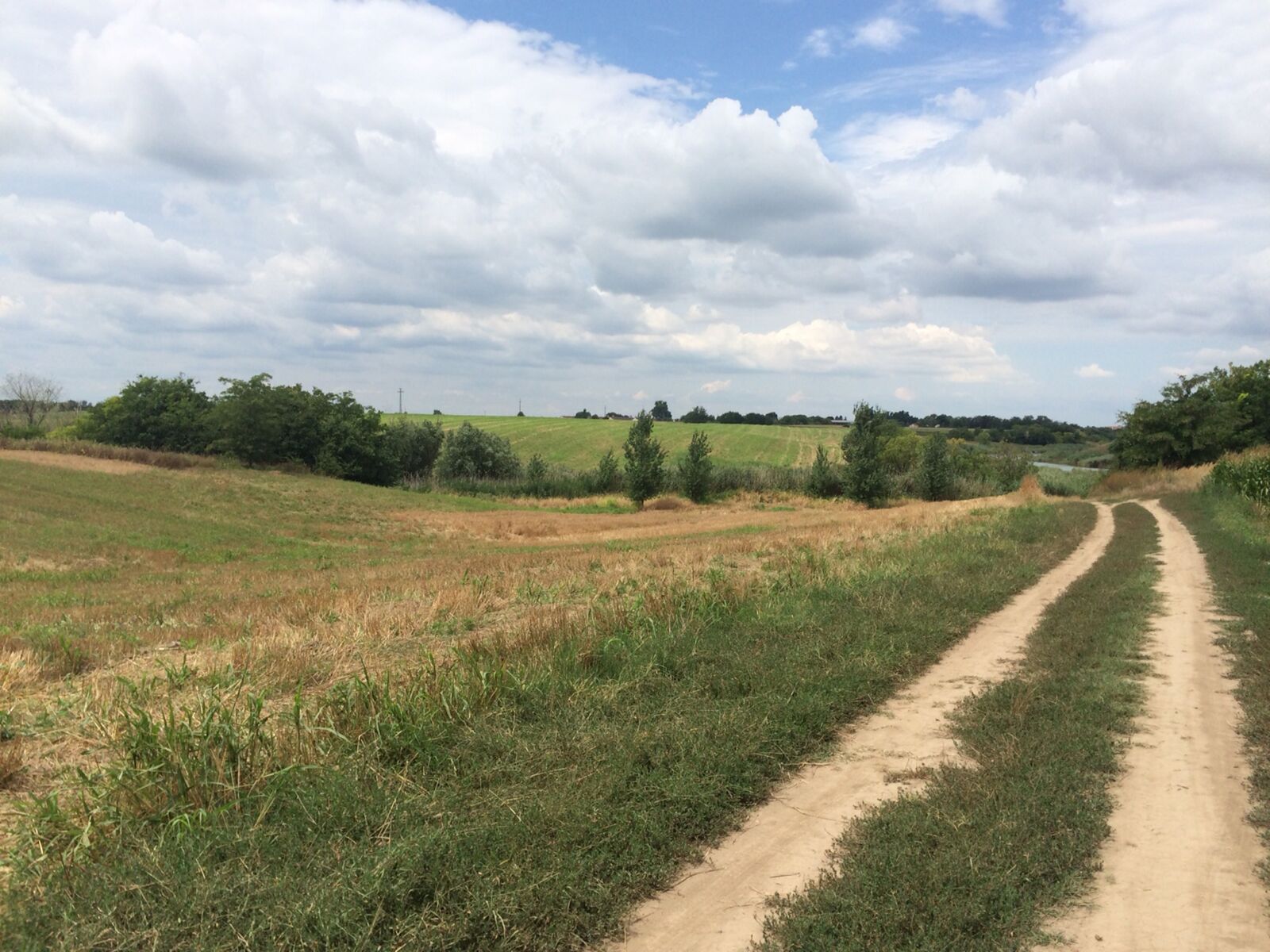 iPhone 5s back camera 4.15mm f/2.2 sample photo. August landscape, lane, stubble photography