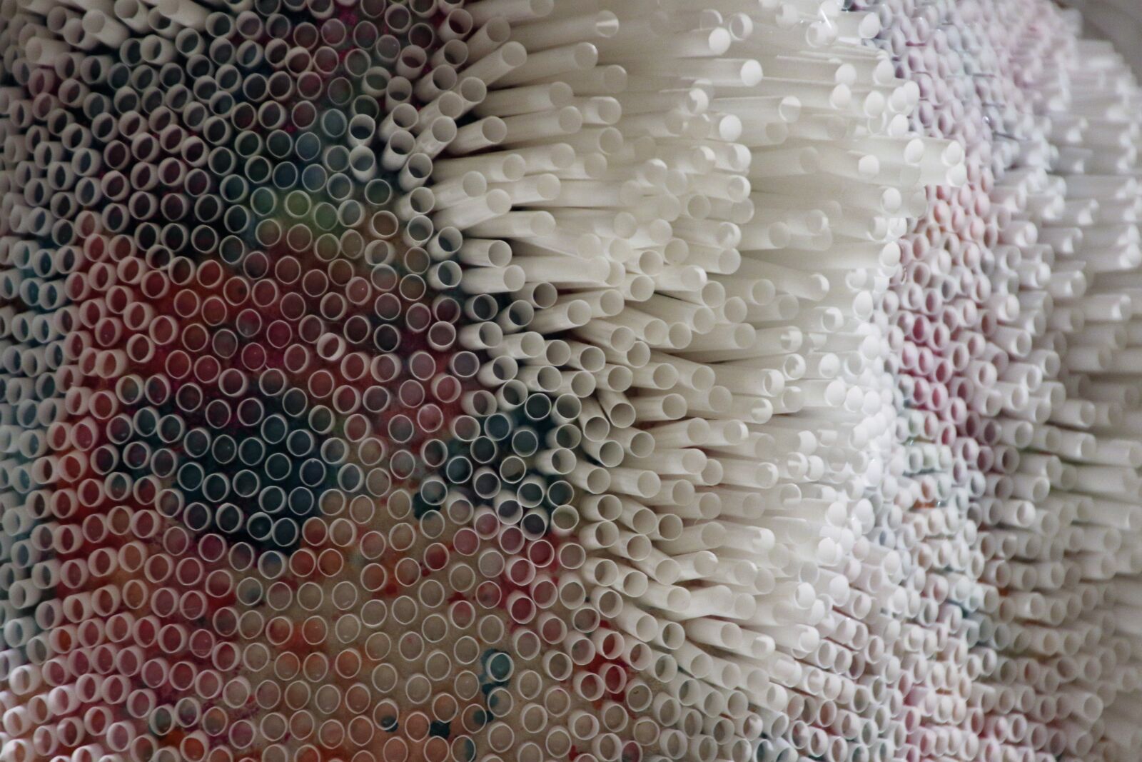 Canon EOS 7D Mark II sample photo. Circles, drink, plastic, recycling photography