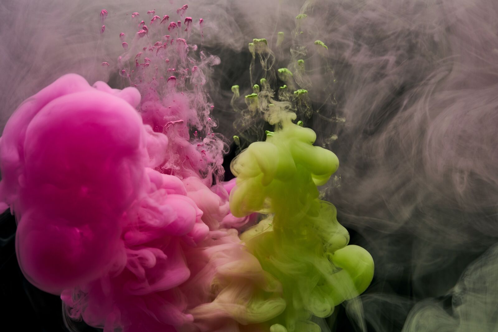 Sigma 85mm F1.4 DG HSM Art sample photo. Ink, water, pink photography