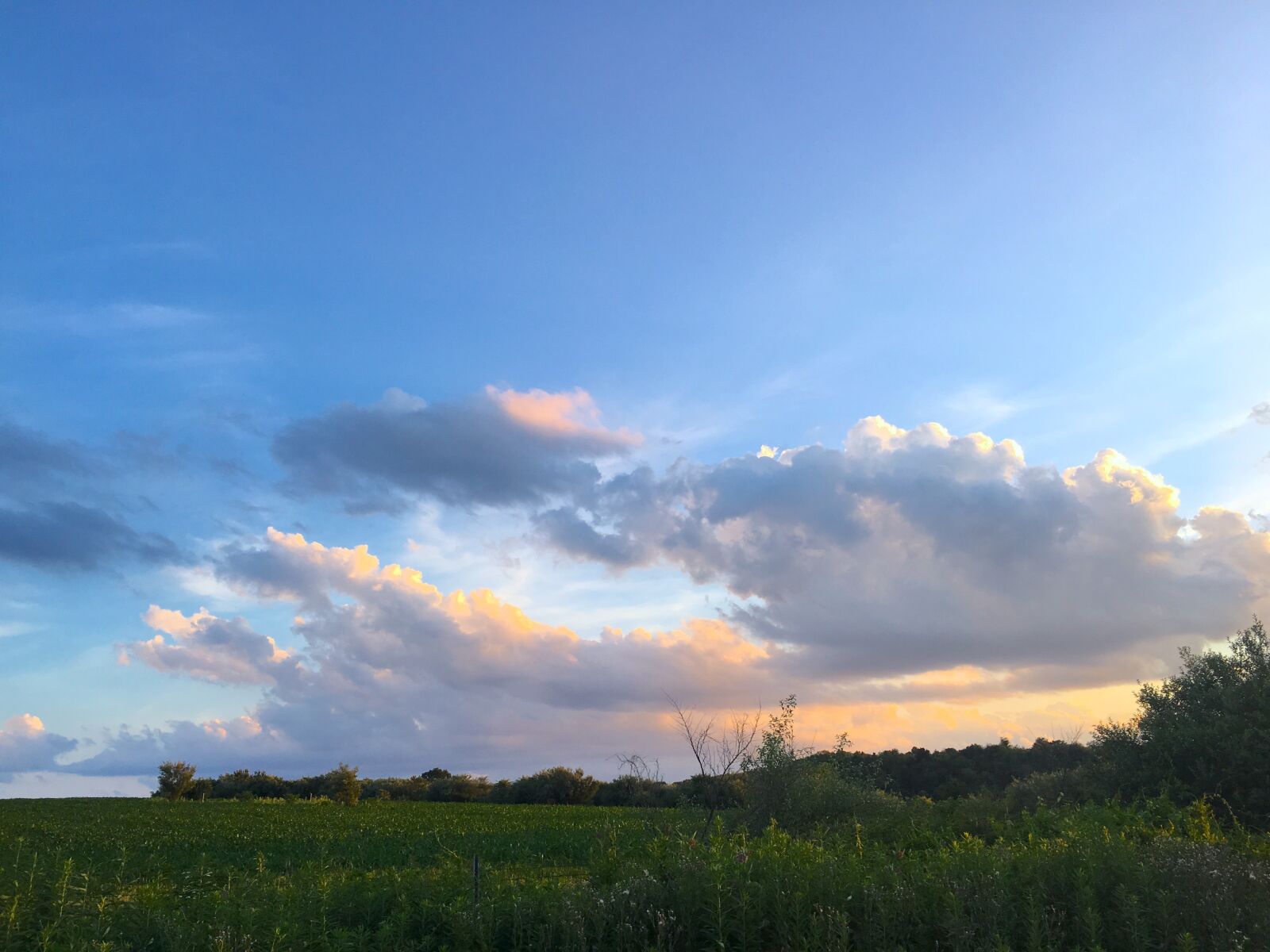 Apple iPhone 6s sample photo. Field, farm, sunset photography