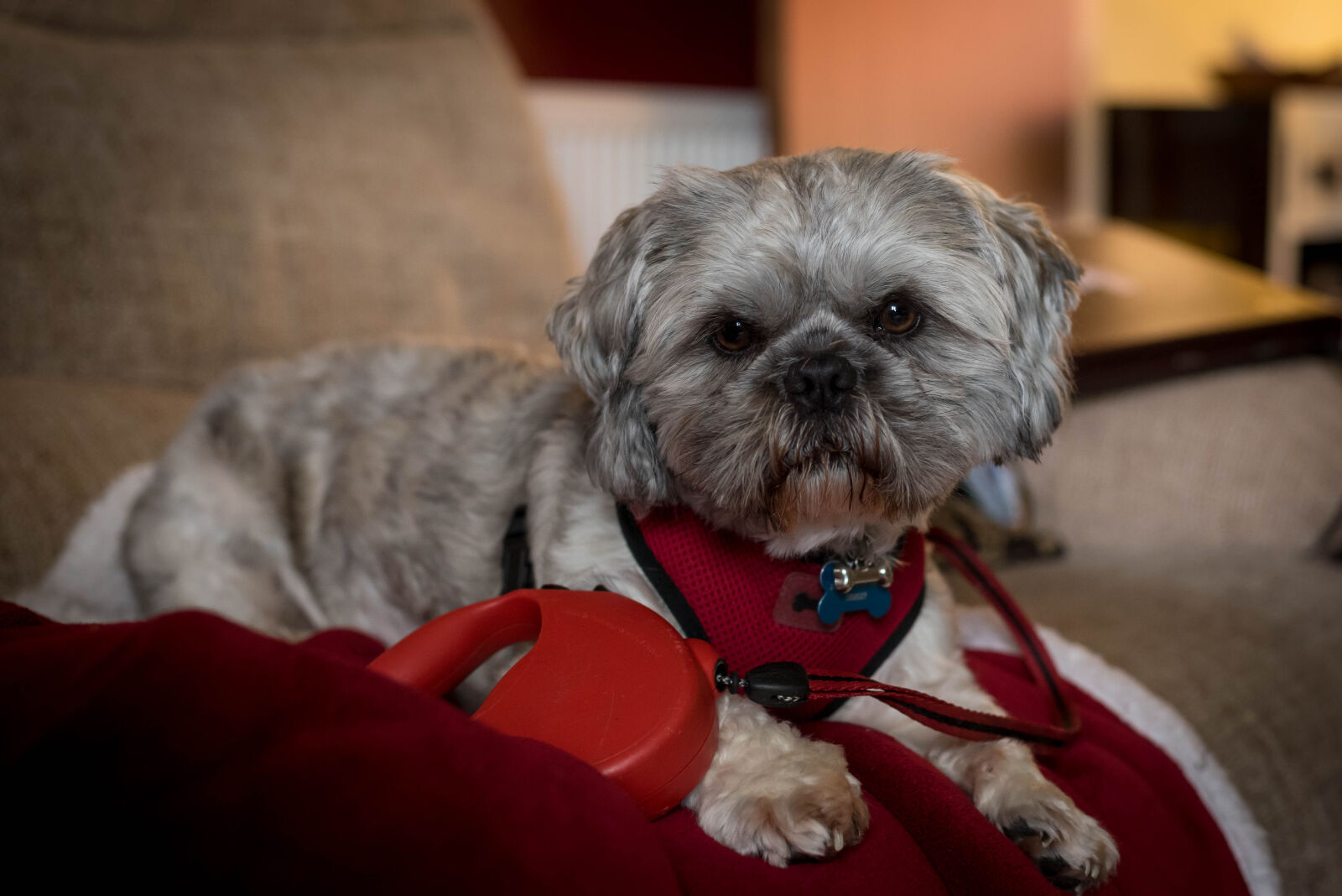 Nikon D750 + Nikon AF-S Nikkor 50mm F1.8G sample photo