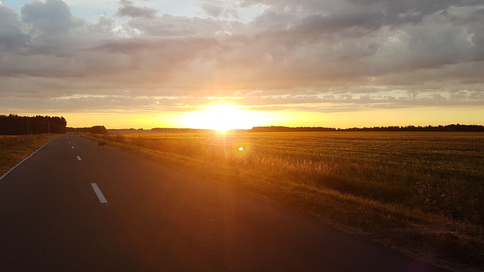 Samsung Galaxy S7 sample photo. природа, рассвет, облака photography