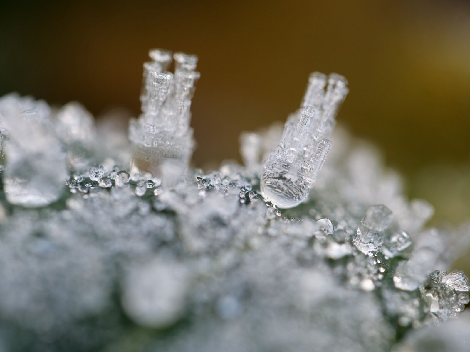 Panasonic Lumix DC-G9 sample photo. Ice, crystal, winter photography