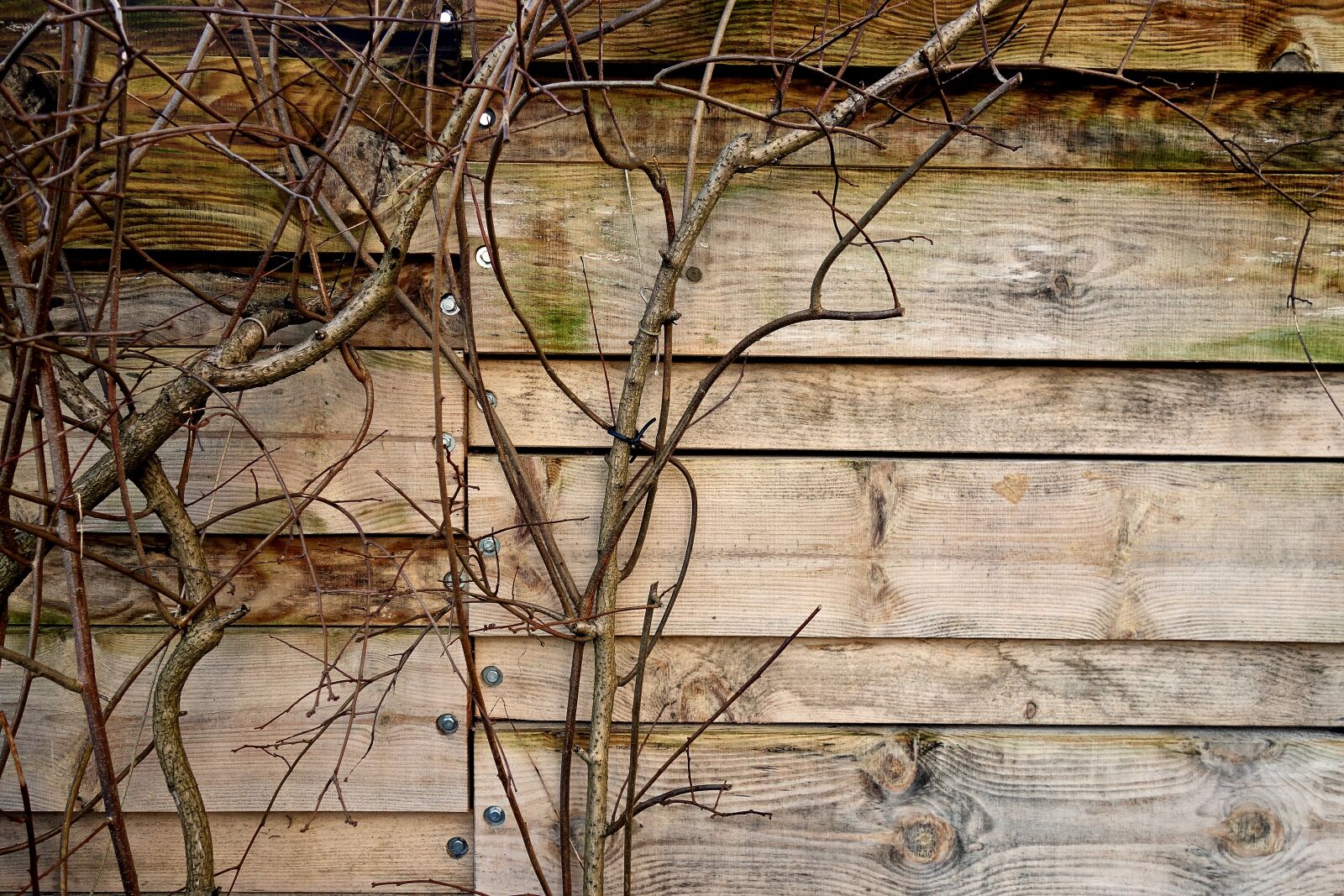 Sony Cyber-shot DSC-RX100 sample photo. Fence, wooden fence, planks photography