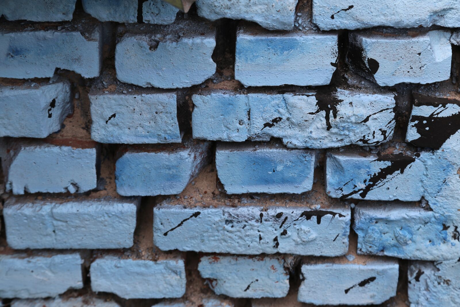Canon EOS 6D + Canon EF 24-105mm F4L IS USM sample photo. Wall, background, structure photography