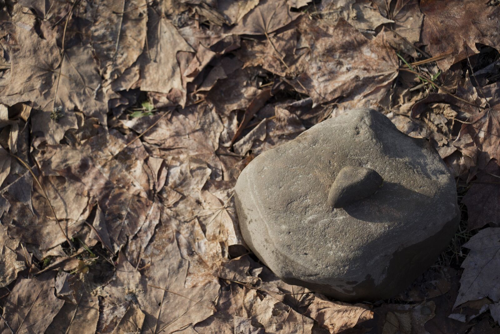 Canon EOS 7D Mark II sample photo. Zen, love, rocks photography