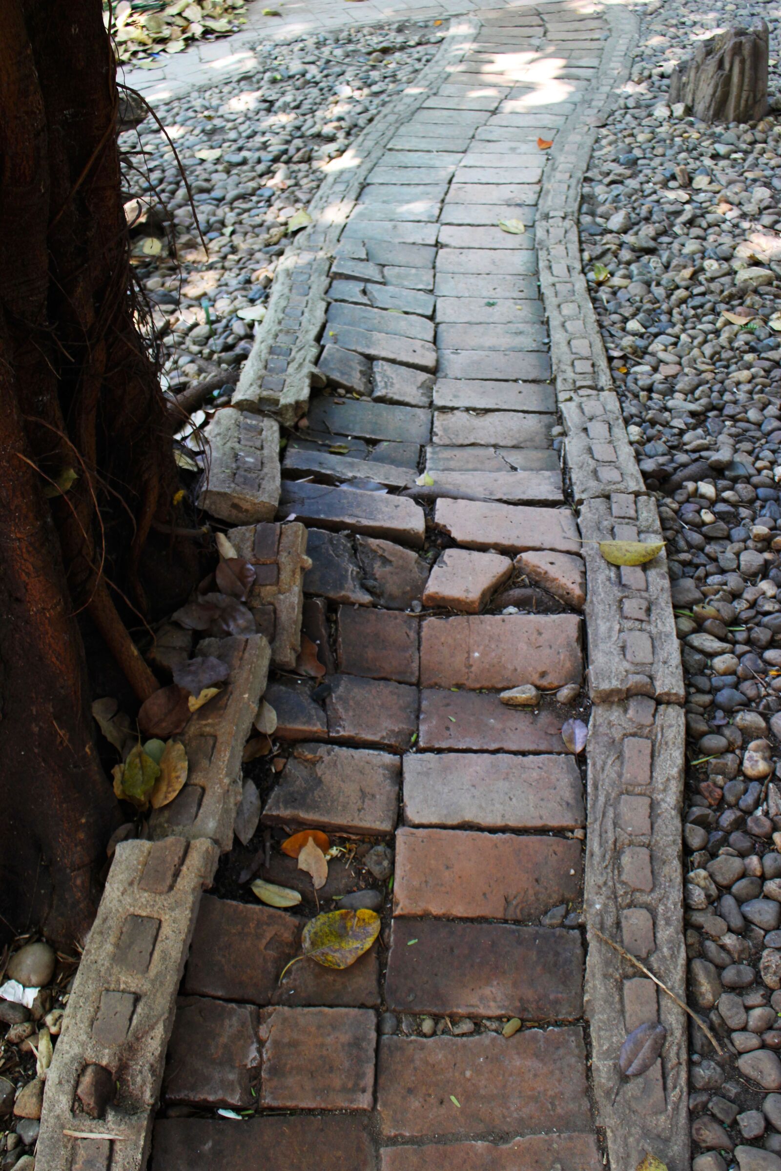 Canon EOS 700D (EOS Rebel T5i / EOS Kiss X7i) sample photo. Path, walkway, outdoor photography