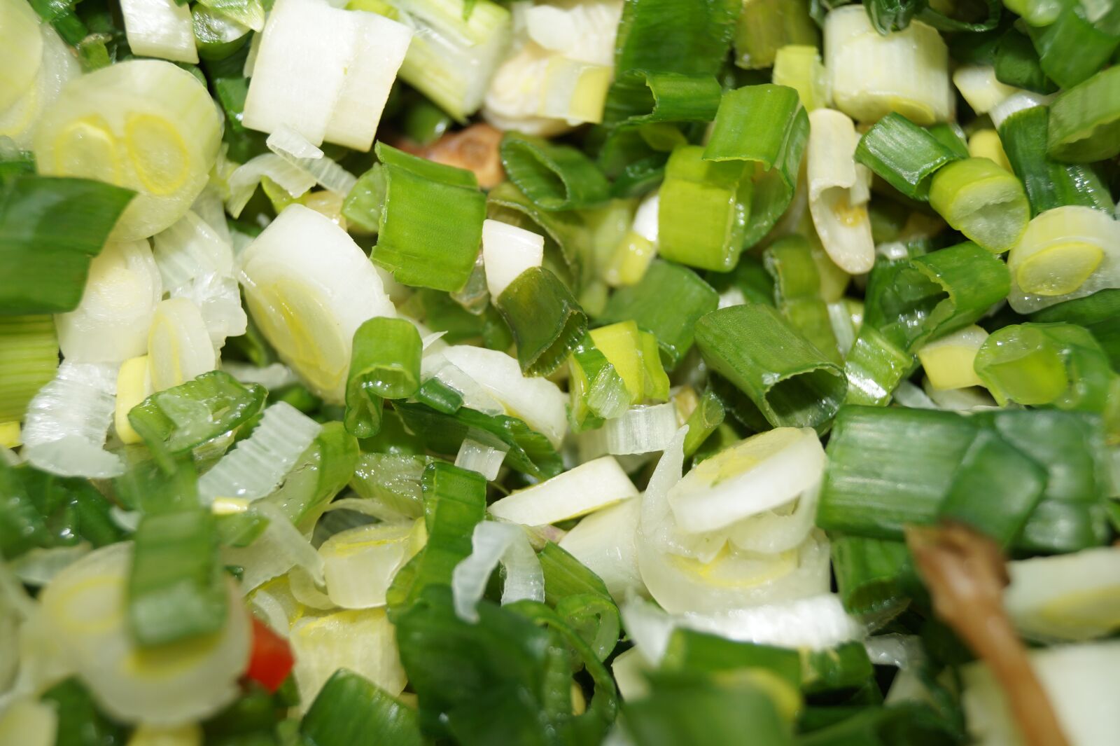 Sony DT 18-55mm F3.5-5.6 SAM II sample photo. Onion, pattern onion, chopped photography