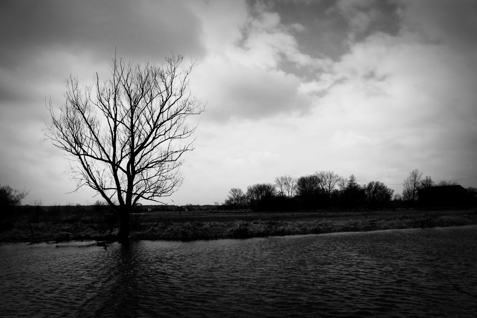 Canon EOS 1100D (EOS Rebel T3 / EOS Kiss X50) sample photo. Tree, water, landscape photography