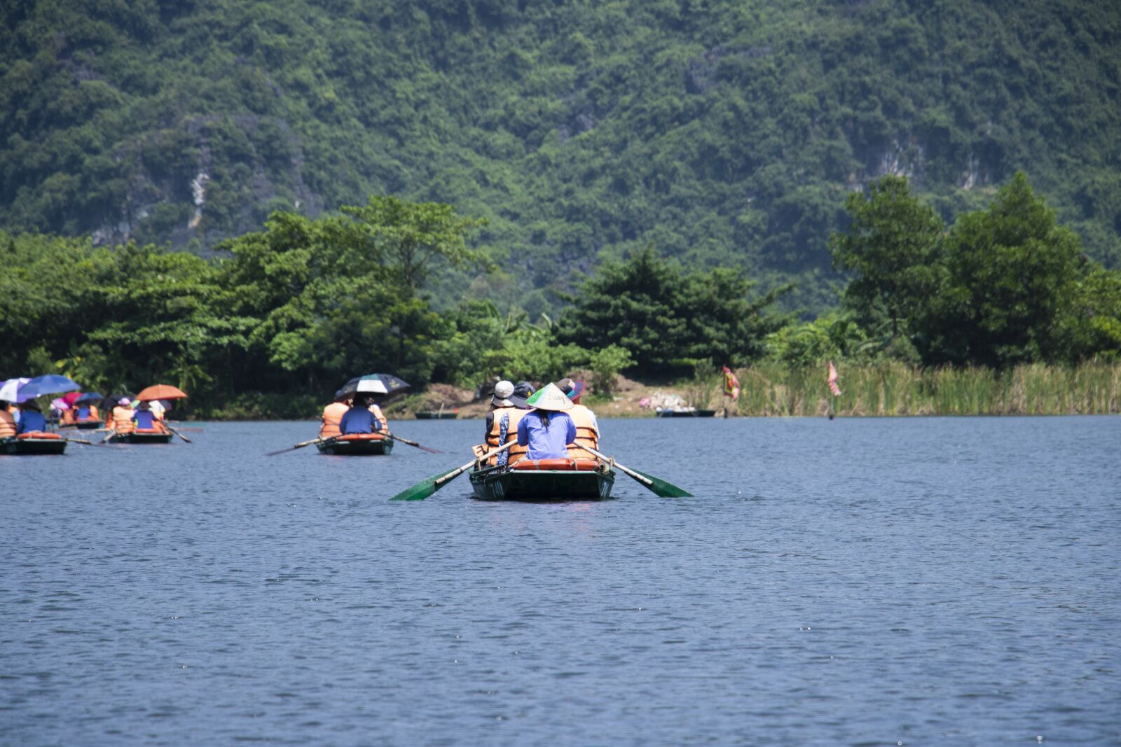 Canon EOS 760D (EOS Rebel T6s / EOS 8000D) + Canon EF-S 18-135mm F3.5-5.6 IS STM sample photo. Vietnam, lu, longwan photography