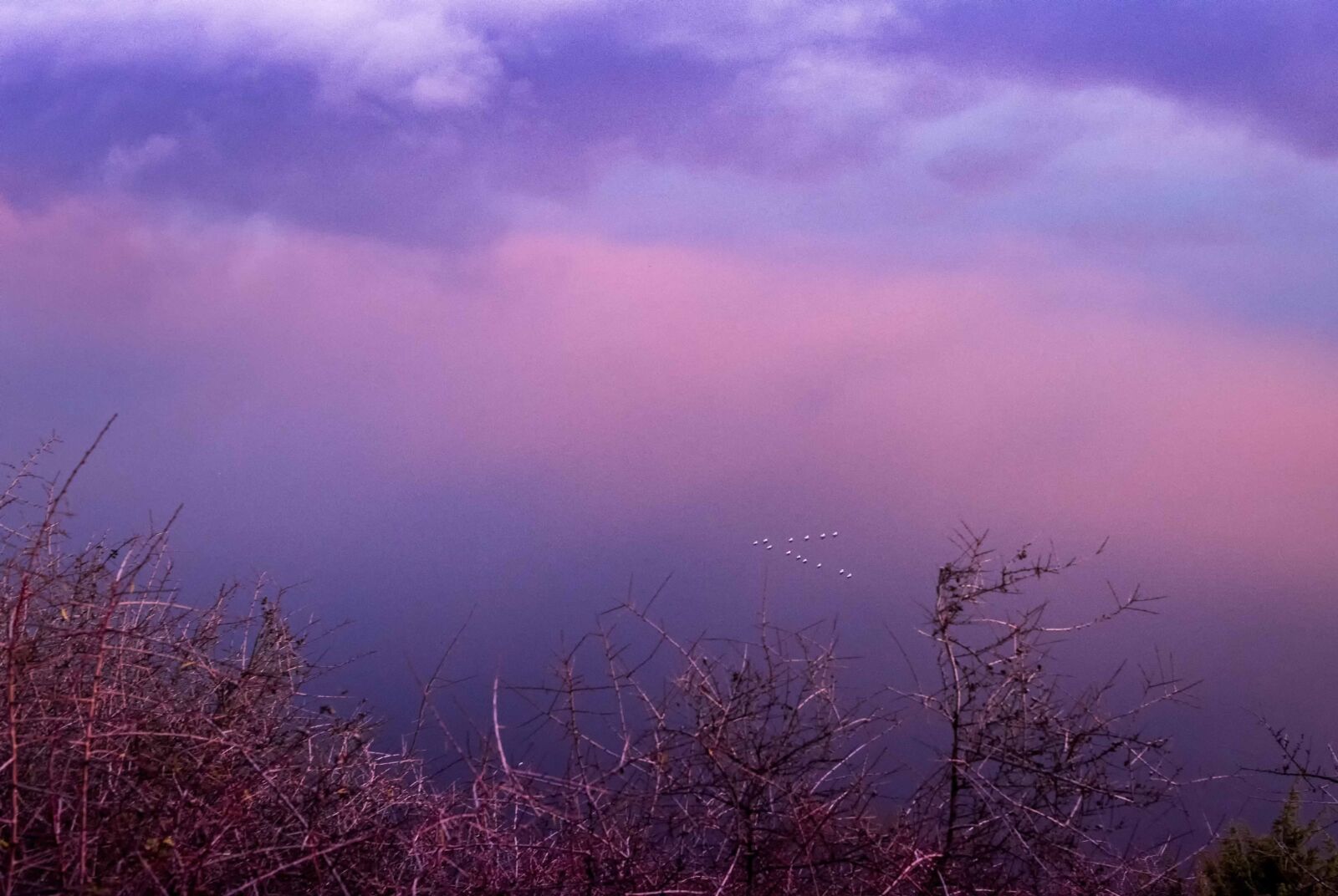 Nikon D750 sample photo. Mist, fog, lake photography