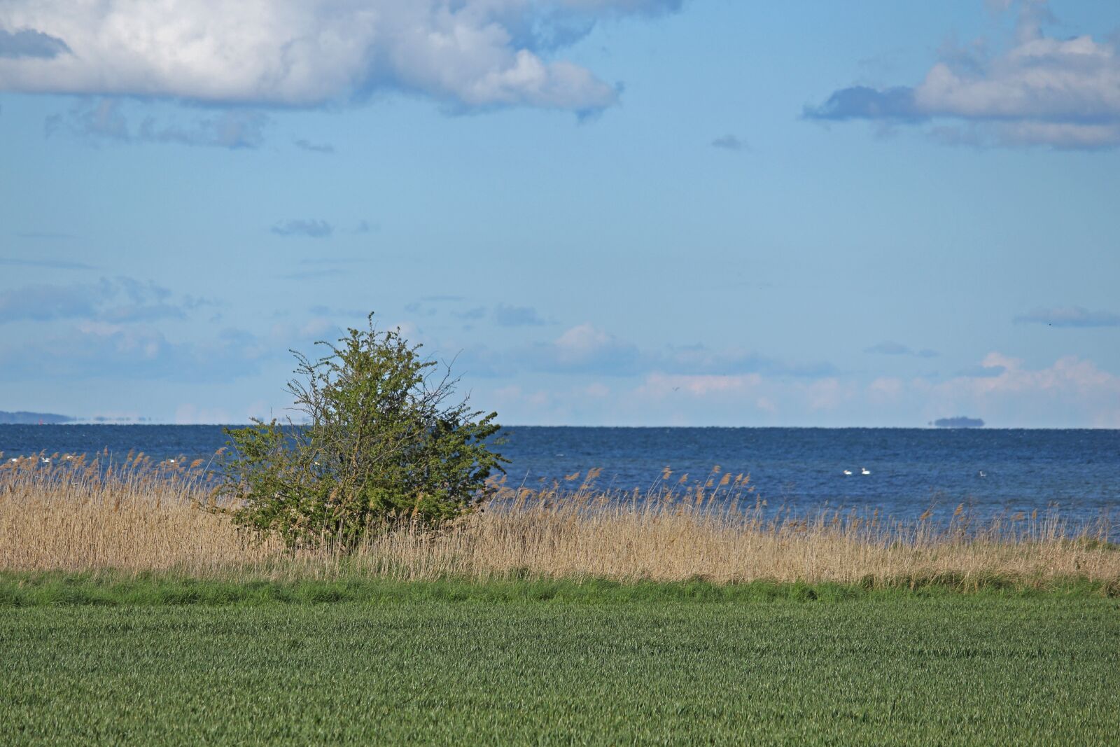 Canon EF-S 55-250mm F4-5.6 IS STM sample photo. View, bodden, baltic sea photography