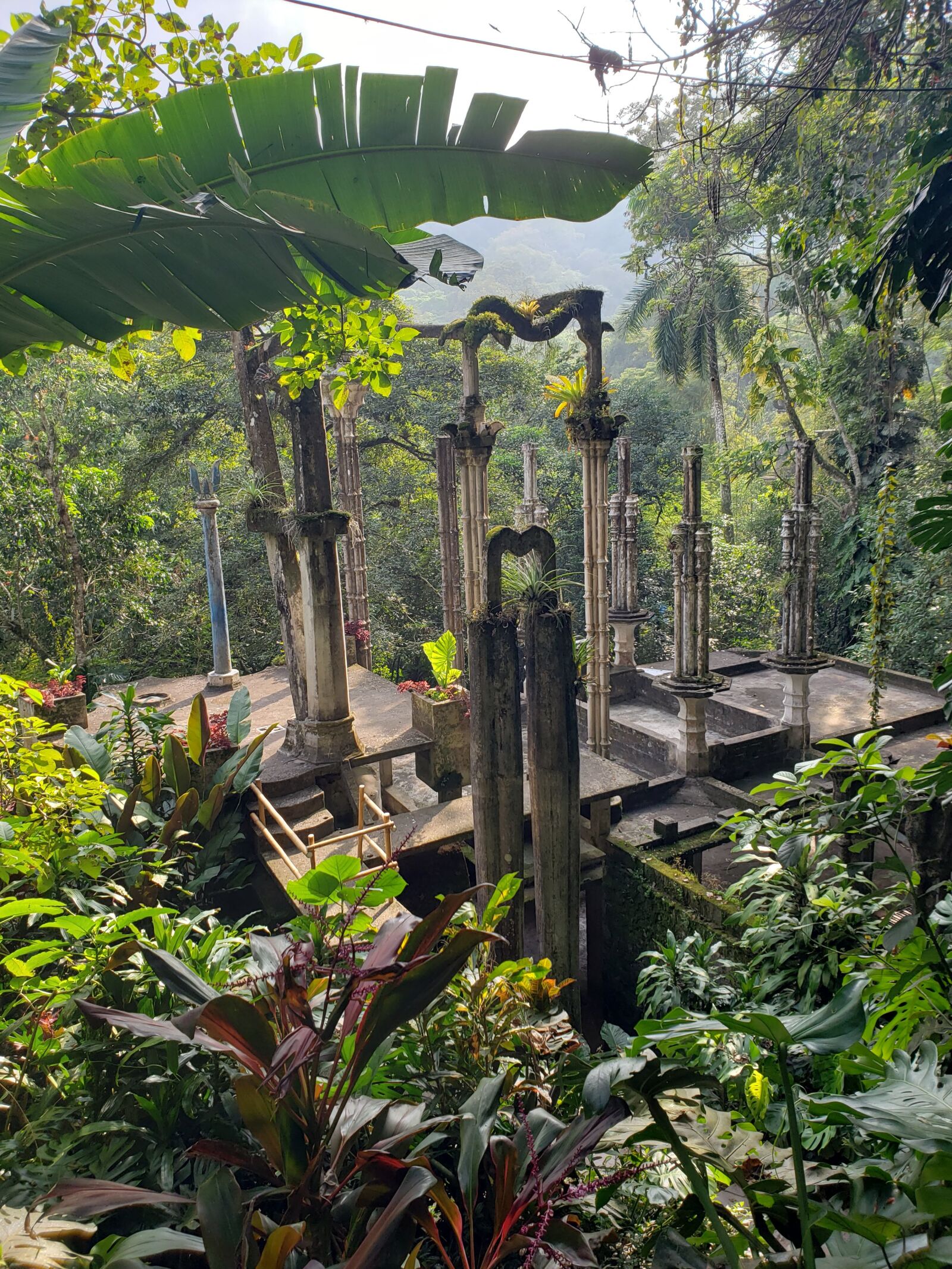 Samsung Galaxy S9+ sample photo. Landscape, green, nature photography