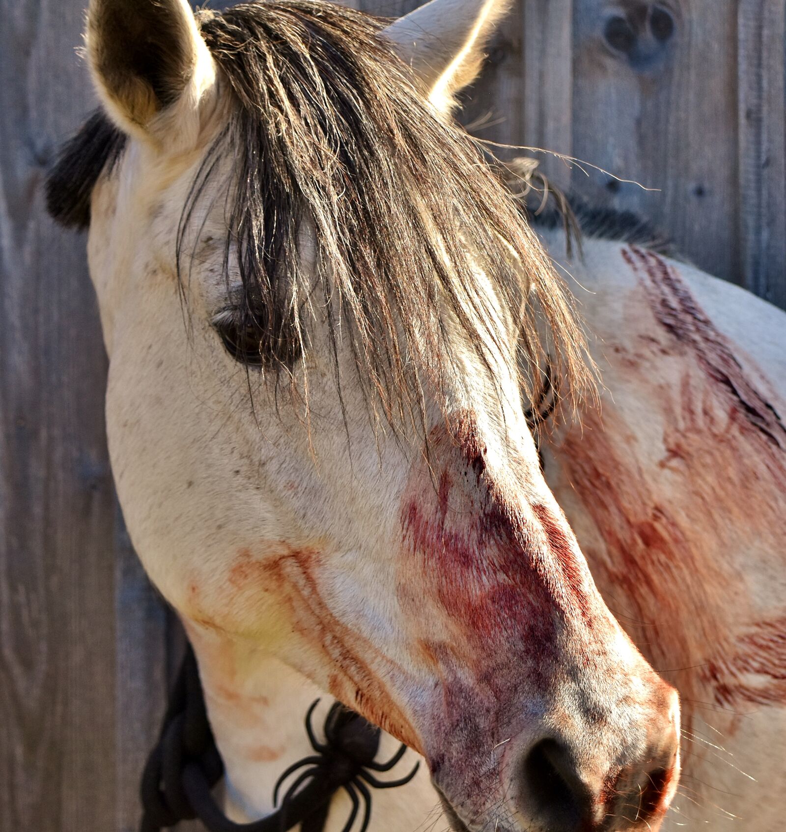 Nikon D7200 sample photo. Halloween, bloody, art blood photography
