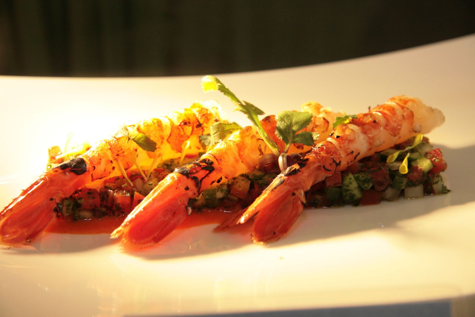 Canon EOS 30D sample photo. Prawn, grilled, sauce photography